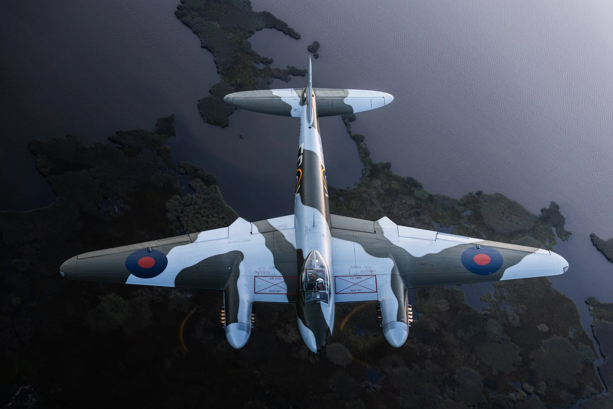 de Havilland Mosquito Birds Eye