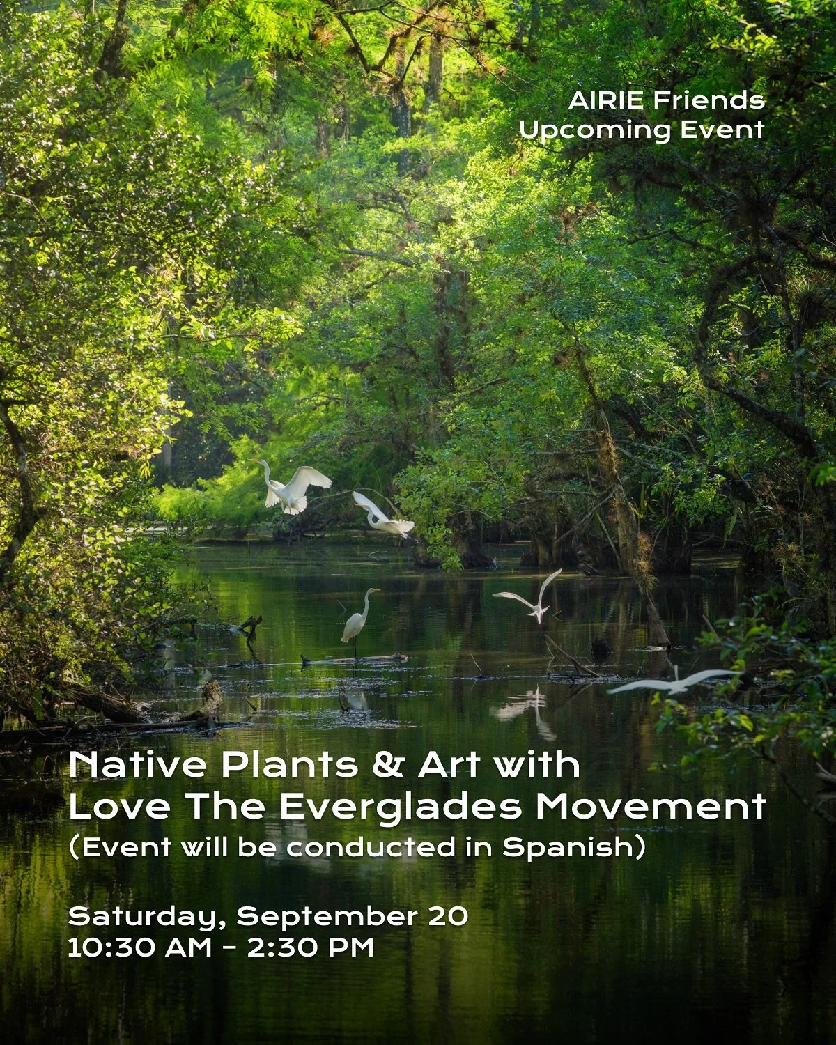 AIRIE friends @love_the_everglades are hosting &ldquo;Native Plants &amp; Art,&rdquo; a free, hands-on workshop at The Underline (Vizcaya Station Plaza).

Learn to identify South Florida native species, explore their roles in the Everglades and our u