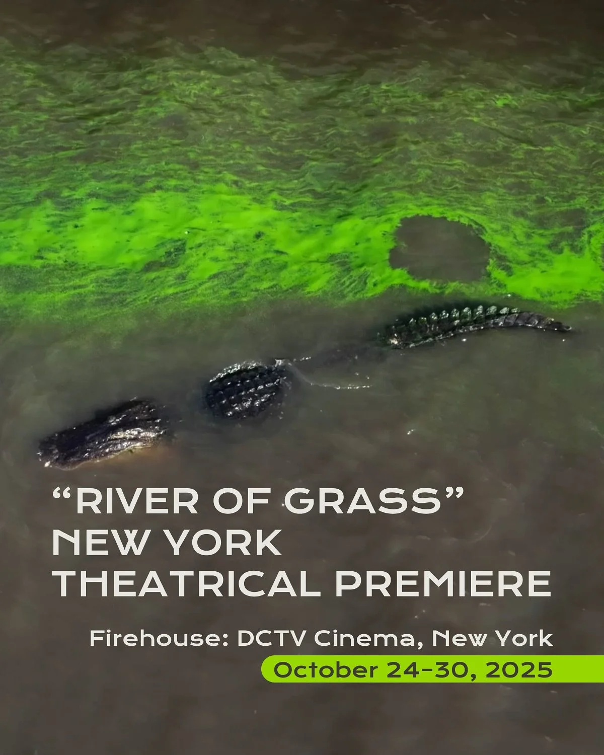 Join 2017 AIRIE Fellow @sashawortzel for the New York theatrical premiere of &ldquo;RIVER OF GRASS,&rdquo; screening October 24&ndash;30 at @firehousecinema (DCTV) in Tribeca.

First conceived during Sasha&rsquo;s AIRIE Residency, the film is a prese