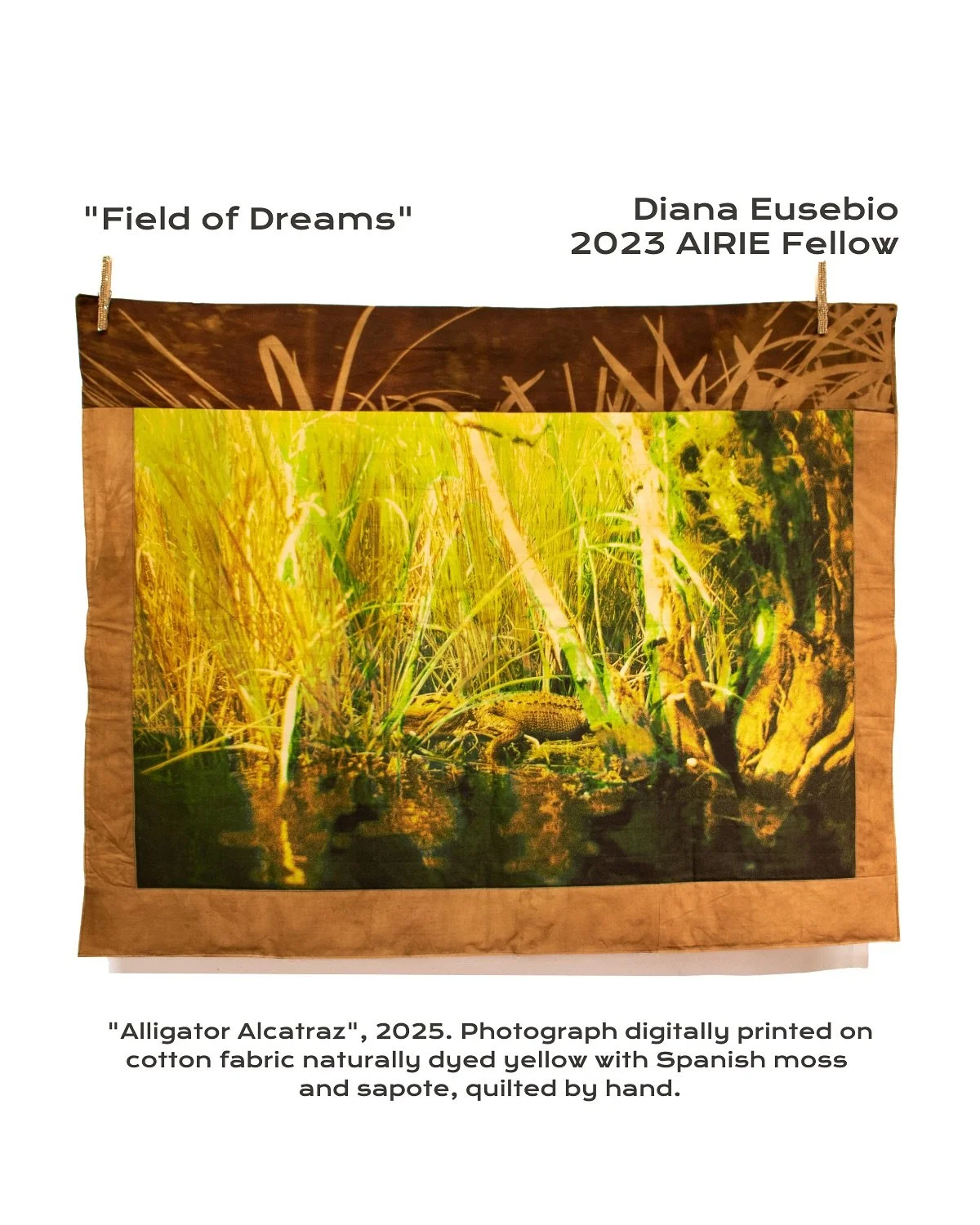 2023 AIRIE Fellow Diana Eusebio debuts her first solo museum exhibition, &ldquo;Field of Dreams,&rdquo; at MOCA North Miami.

On view November 5, 2025 through March 16, 2026. Opening reception December 2 at 6 PM during Miami Art Week/ Art Basel Miami
