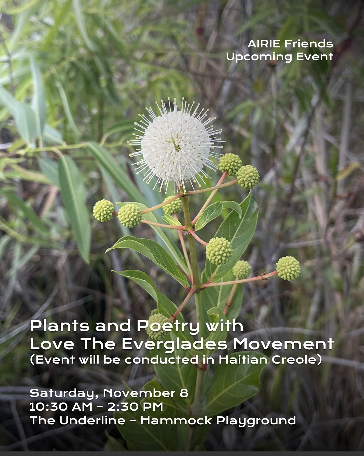 AIRIE friends @love_the_everglades are hosting &ldquo;Plants and Poetry,&rdquo; a free workshop at The Underline (Hammock Playground).
Learn about native and invasive plants, engage in moments of poetic reflection, and join activities led by guest a