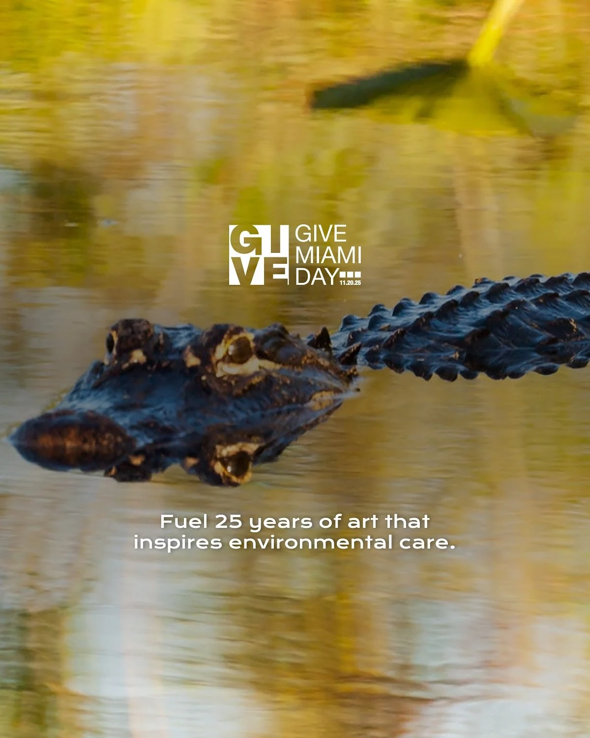 Every piece of art that begins in the Everglades carries a message. It reminds us how deeply we are connected to the natural world. When you give to AIRIE on Give Miami Day, you help artists turn those messages into experiences that move people to ca
