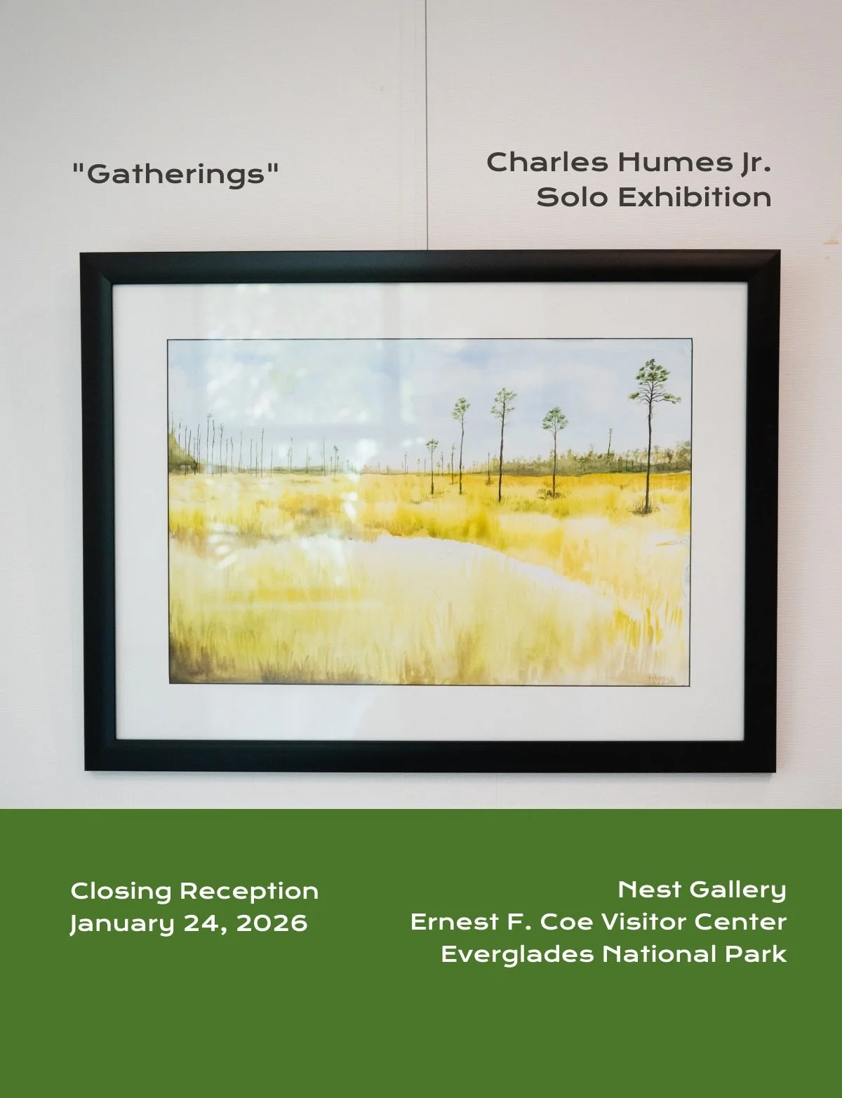 AIRIE presents &ldquo;Gatherings,&rdquo; a solo exhibition by 2024 AIRIE Fellow and 2025 Alumni Resident Charles Humes Jr., concluding with a Closing Reception on January 24, 2026, at the Nest Gallery in the Ernest F. Coe Visitor Center, Everglades N