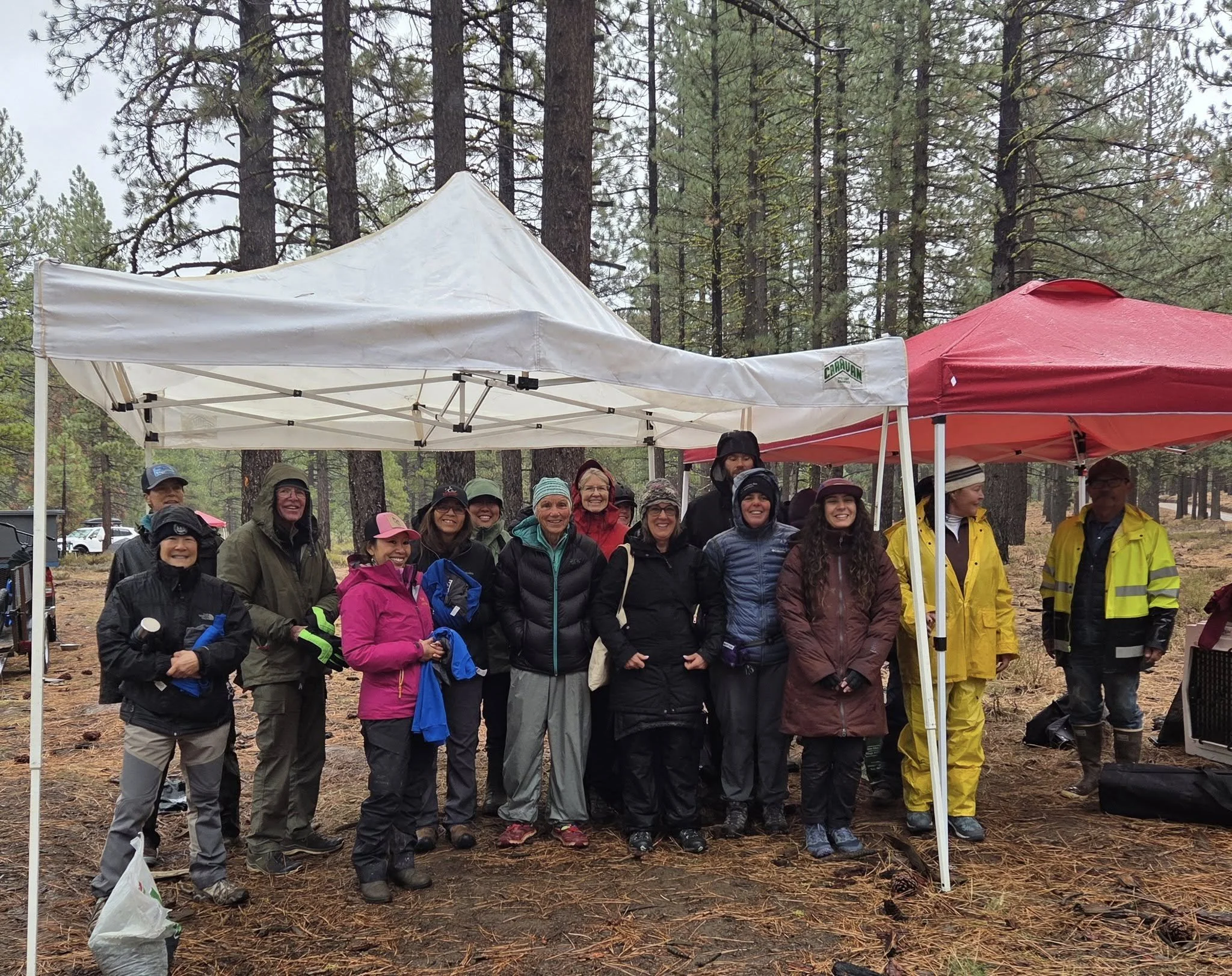 Group Photo 2025.jpg