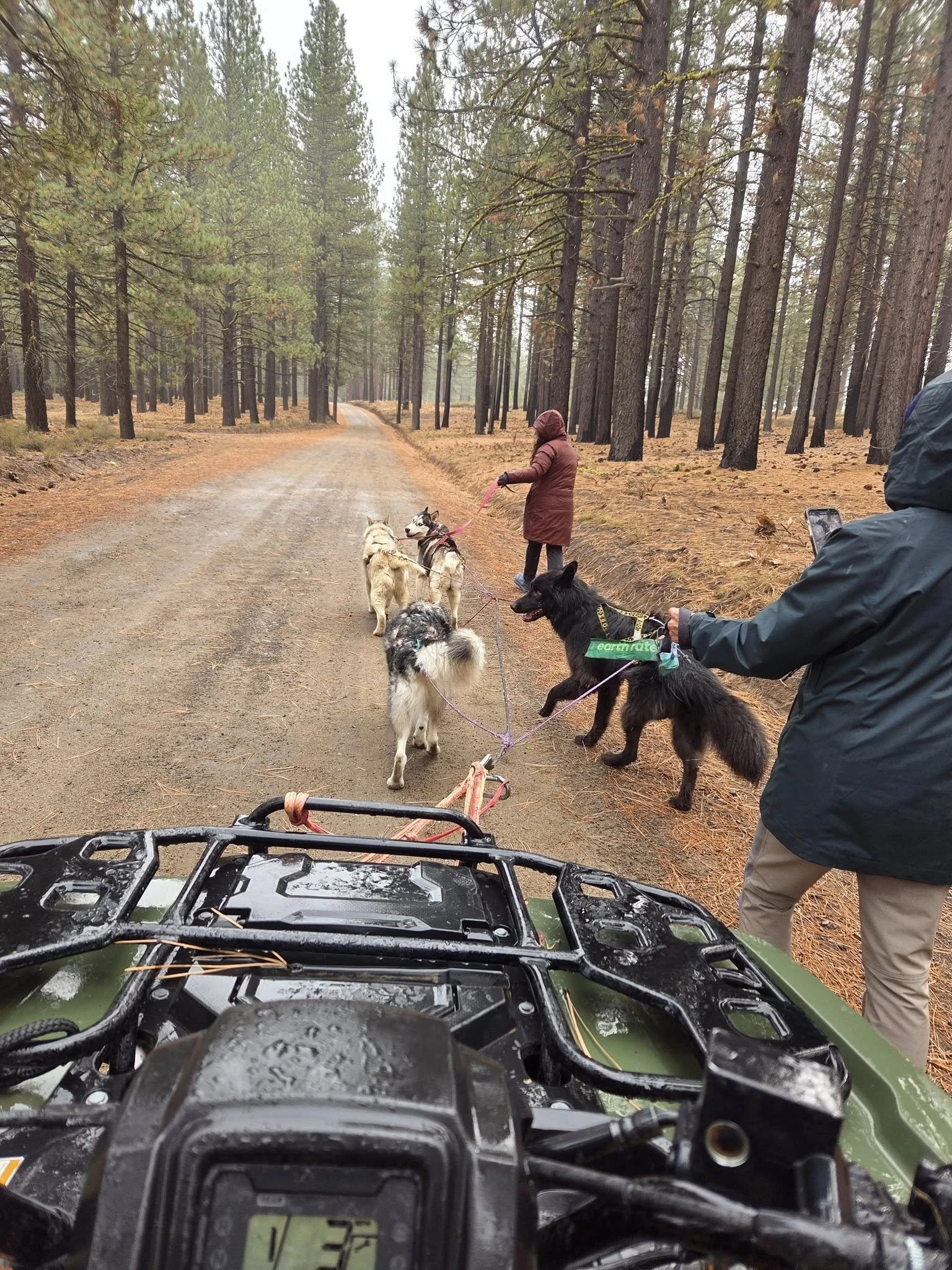 student team quad.jpg