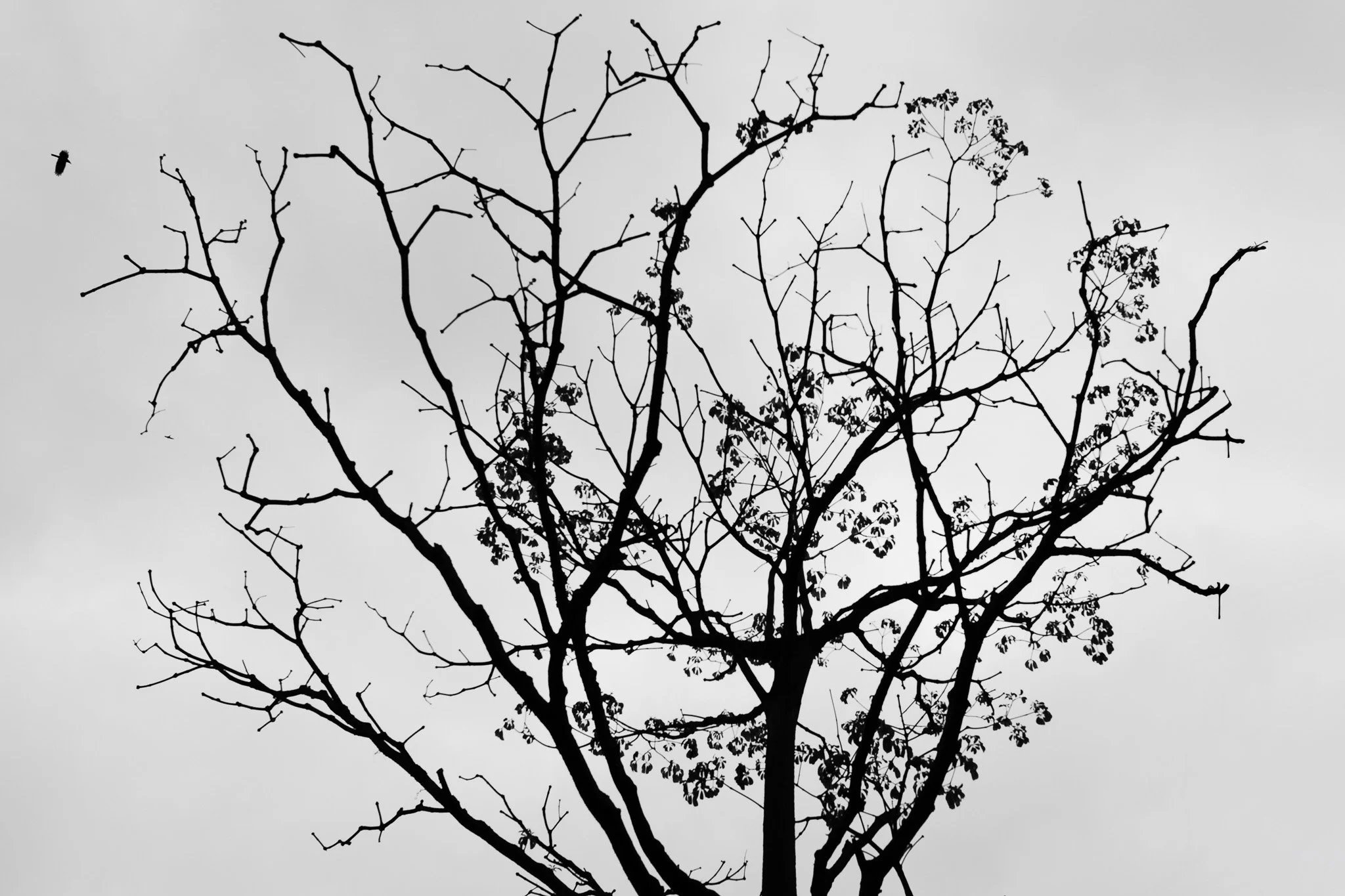 L1026756.jpg