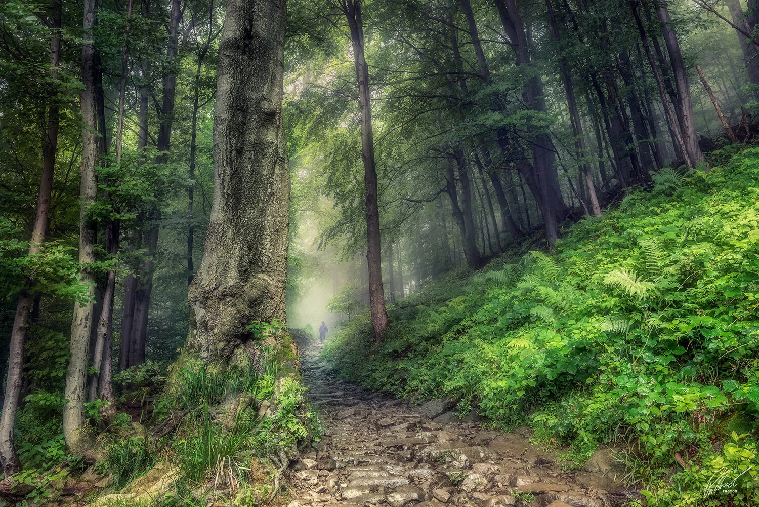 W drodze na Połoninę Wetlińską