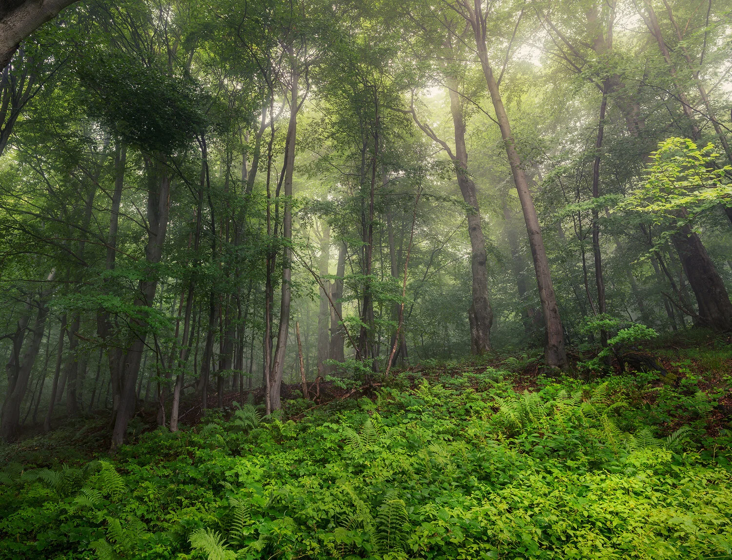 Bieszczady  - dzień 3