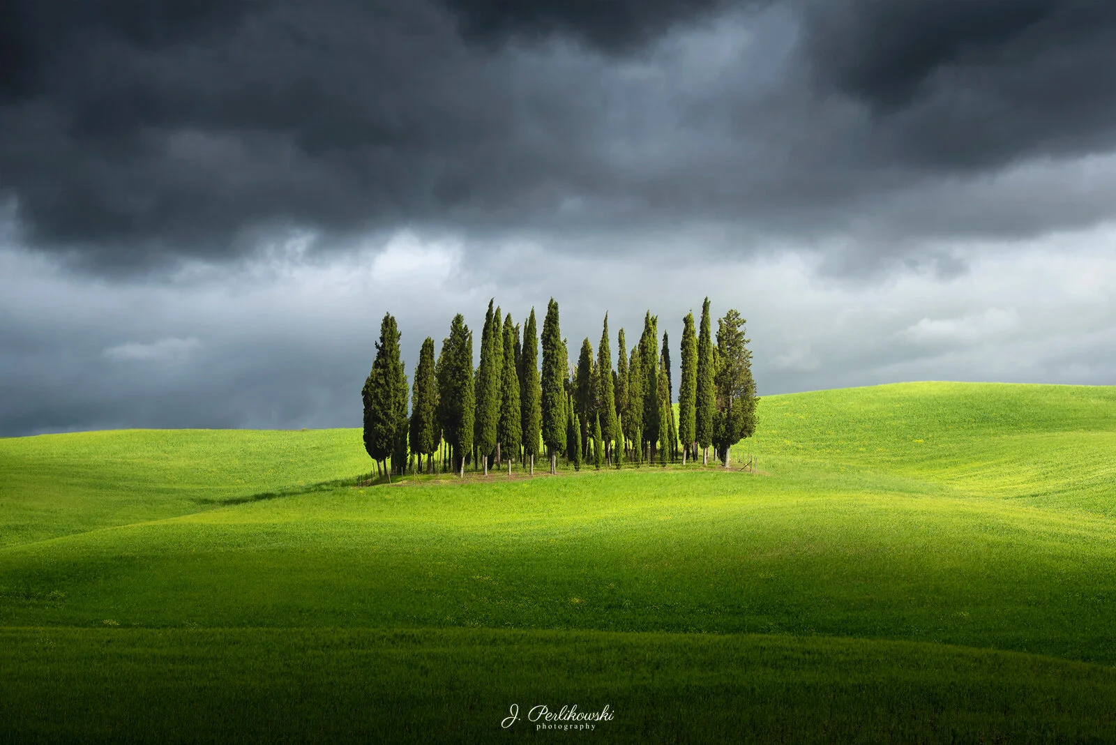 Cyprysy Toskania.jpg