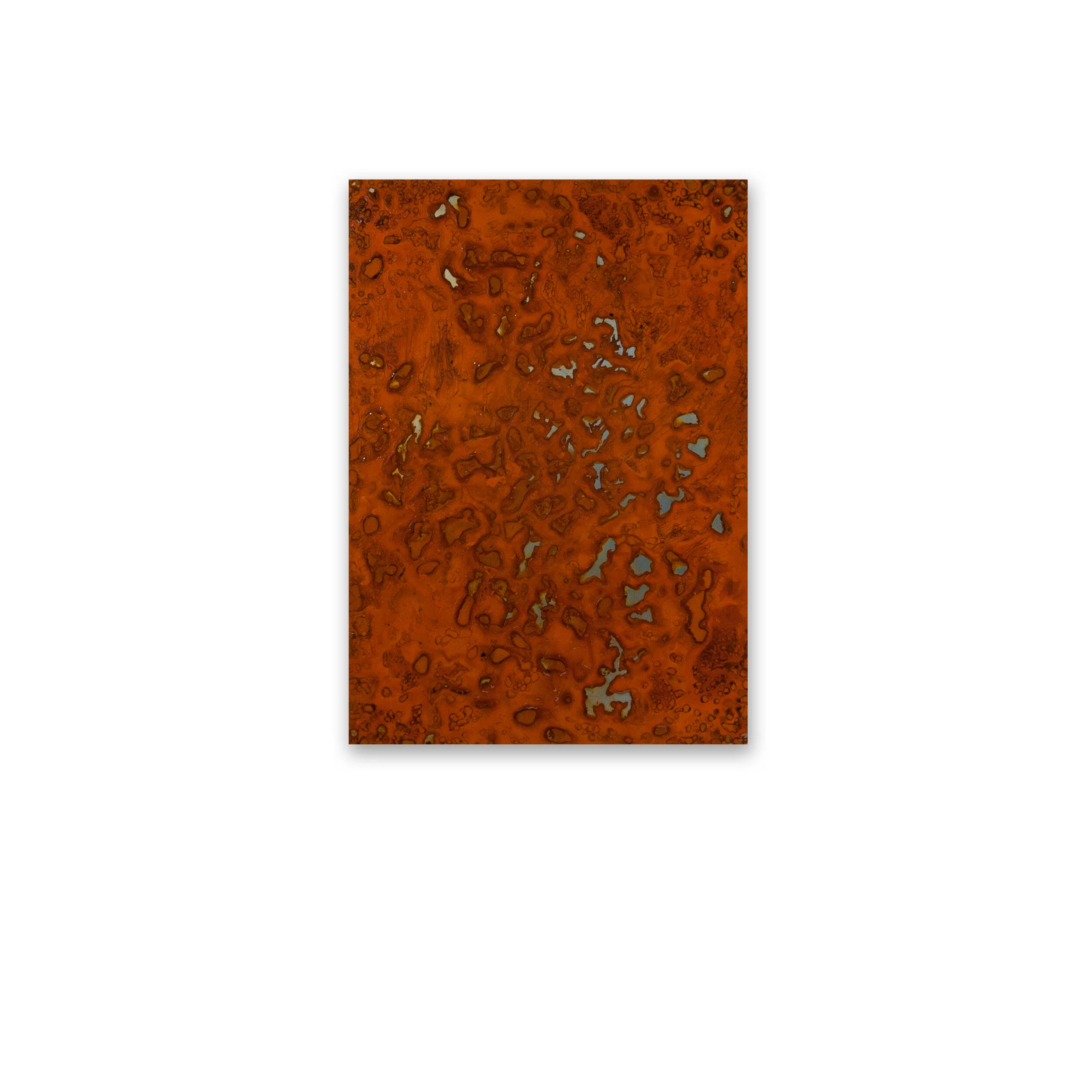 Old Man Banksia II (Banksia serrata), 2020, mild steel, water (evaporated), salt, resin, 70cm H x 50cm W