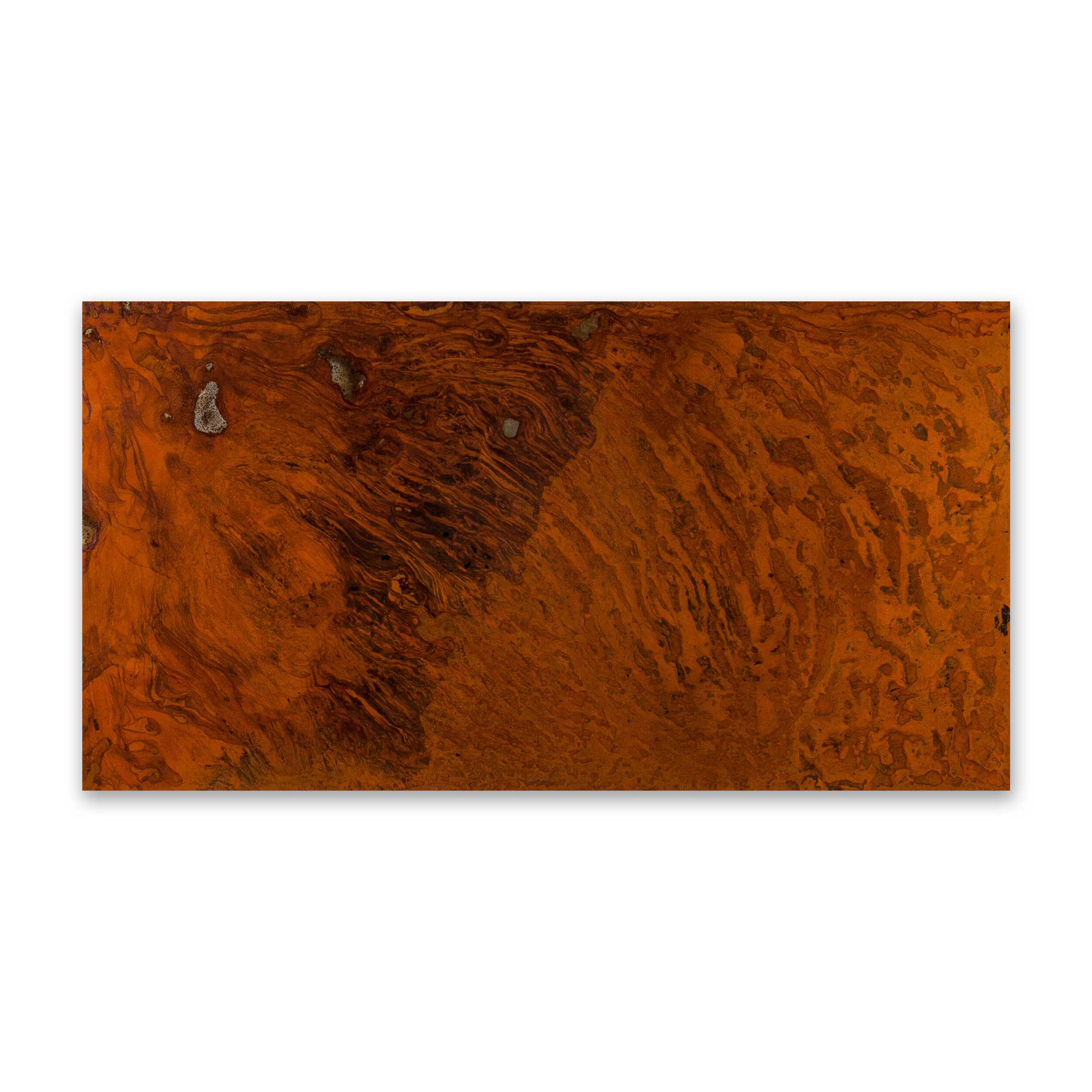 Red Stringybark II (Eucalyptus Macrorhyncha), 2020, mild steel, water (evaporated), salt, resin, 64.5cm H x 120cm W