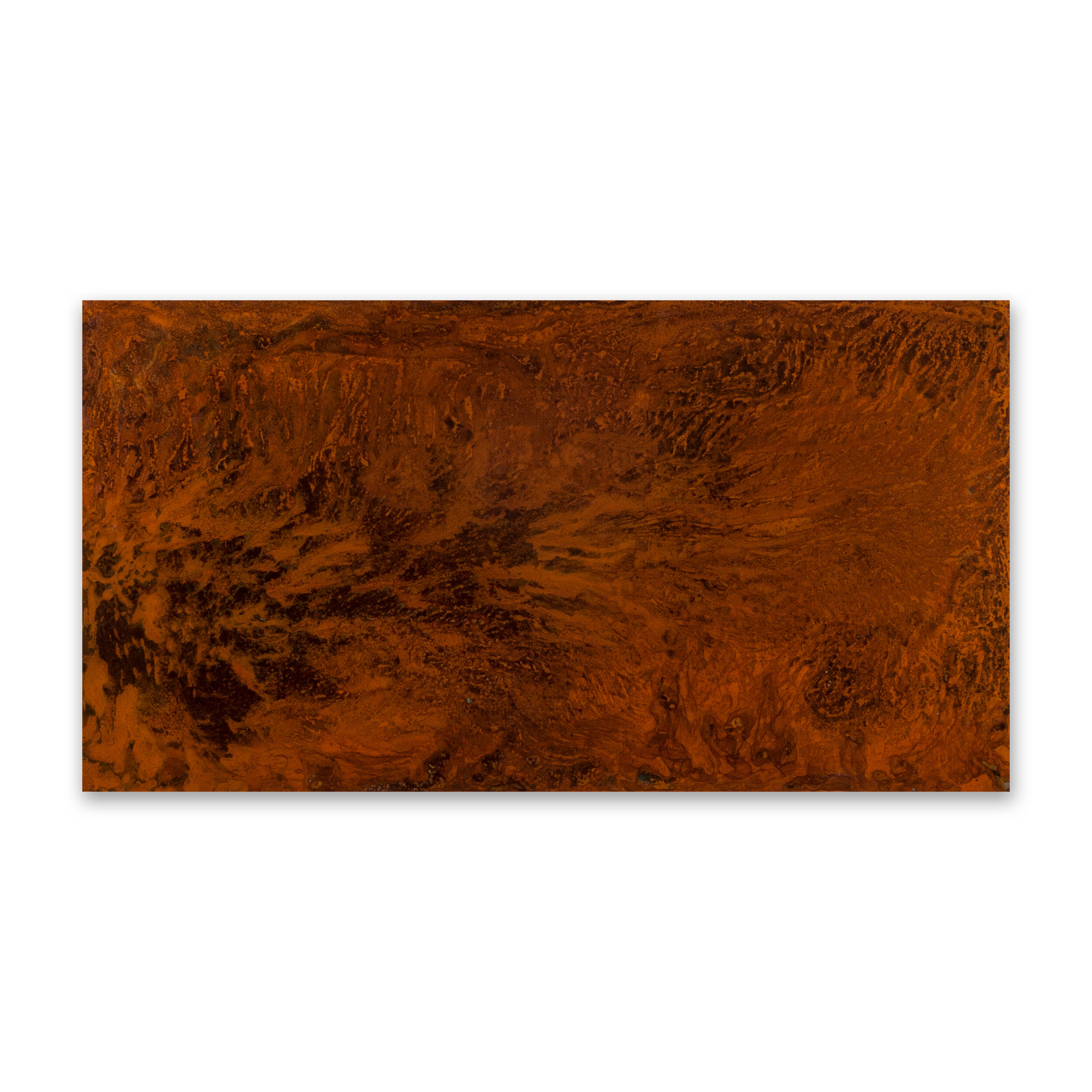 Red Stringybark I (Eucalyptus Macrorhyncha), 2020, mild steel, water (evaporated), salt, resin, 64.5cm H x 120cm W