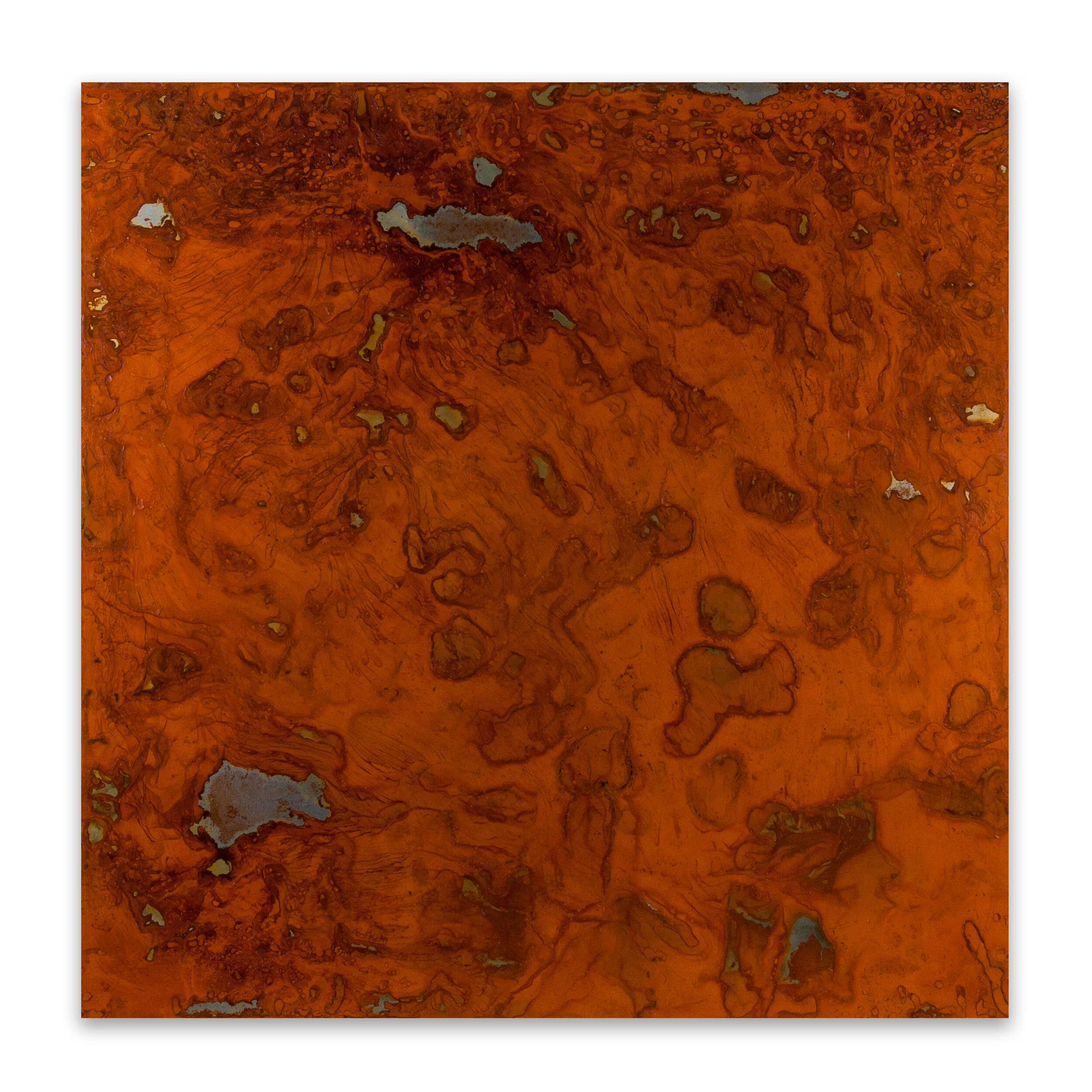 River Red Gum I (Eucalyptus camaldulensis), 2020, mild steel, water (evaporated), salt, resin, 120cm H x 120cm W