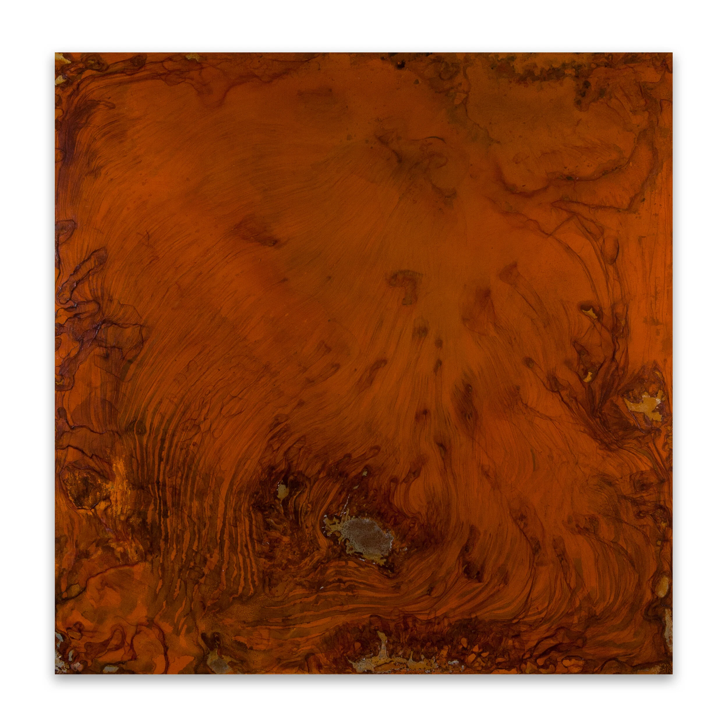 Paperbark II (Melaleuca Quinquenervia), 2020, mild steel, water (evaporated), salt, resin, 120cm H x 120cm W