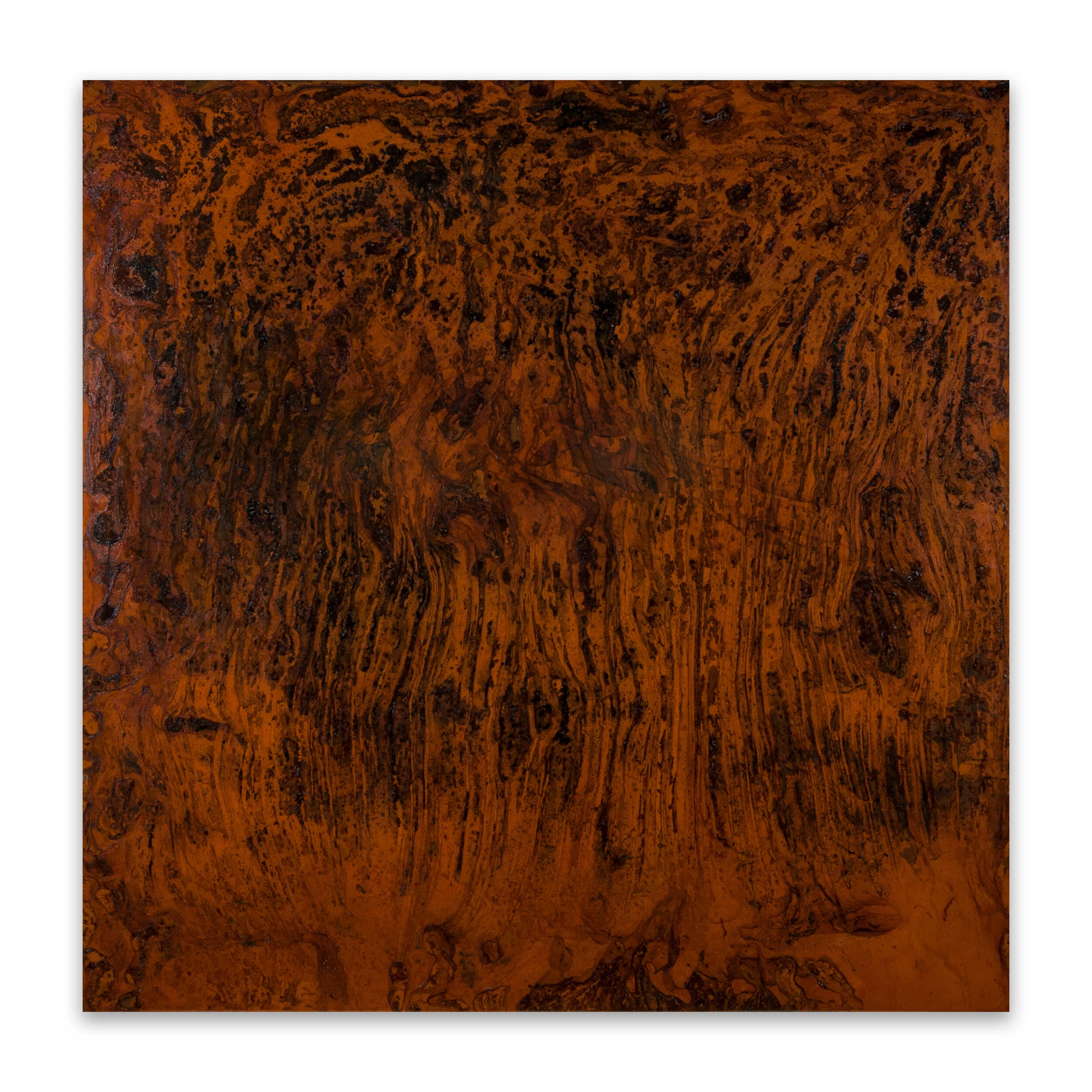 Paperbark I (Melaleuca Quinquenervia), 2020, mild steel, water (evaporated), salt, resin, 120cm H x 120cm W