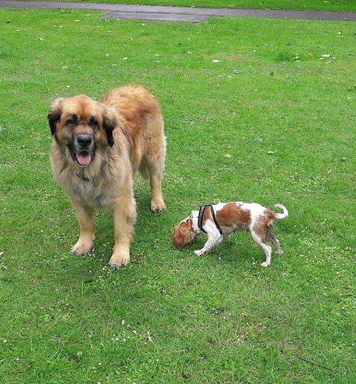 Little and Large.jpg