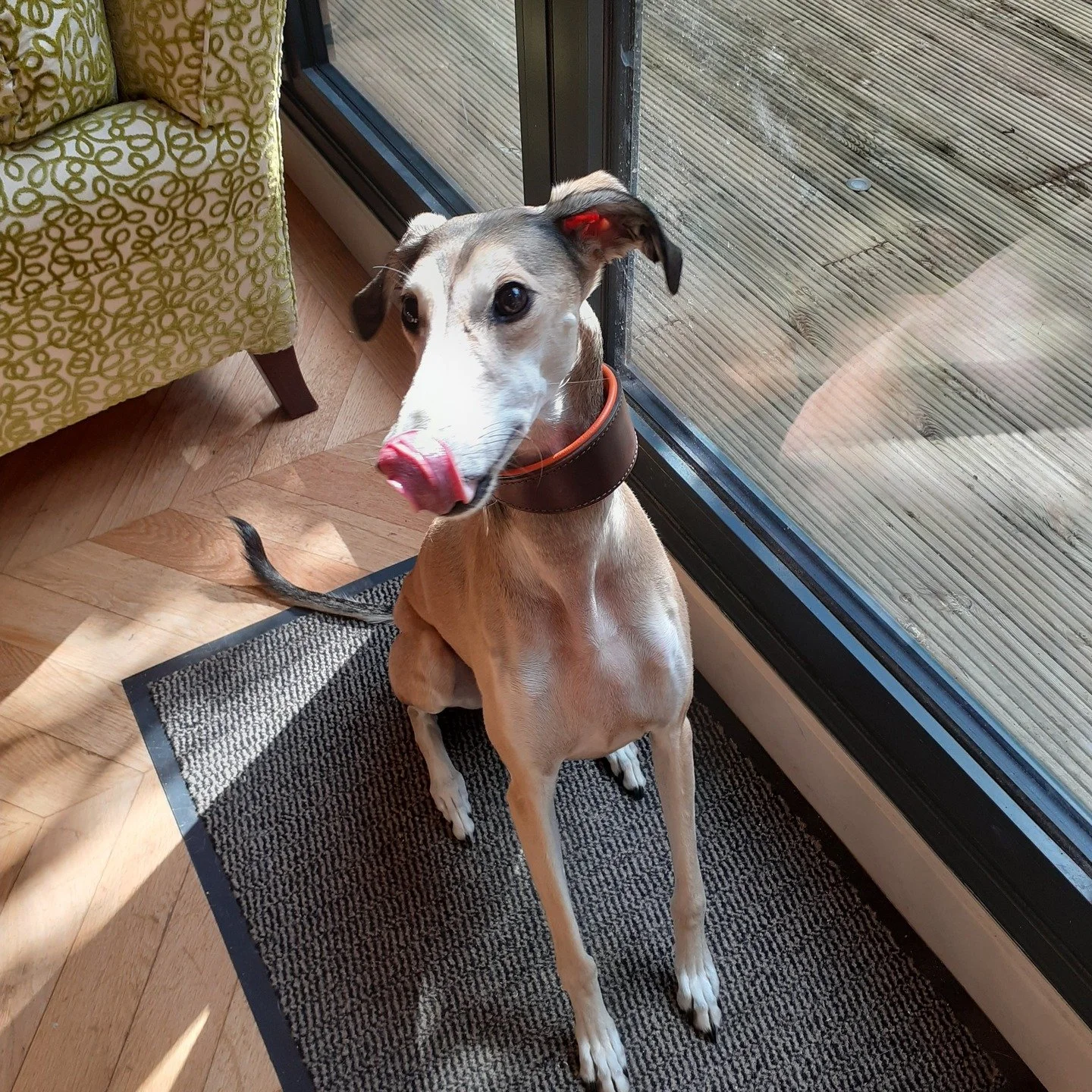 We offer dog sitting in your own home from 2 hours upwards. The longest sit we've done so far is 3 months, so any length of sit is possible providing we have availability. This service gets booked up very early, especially around Thanksgiving, Christ