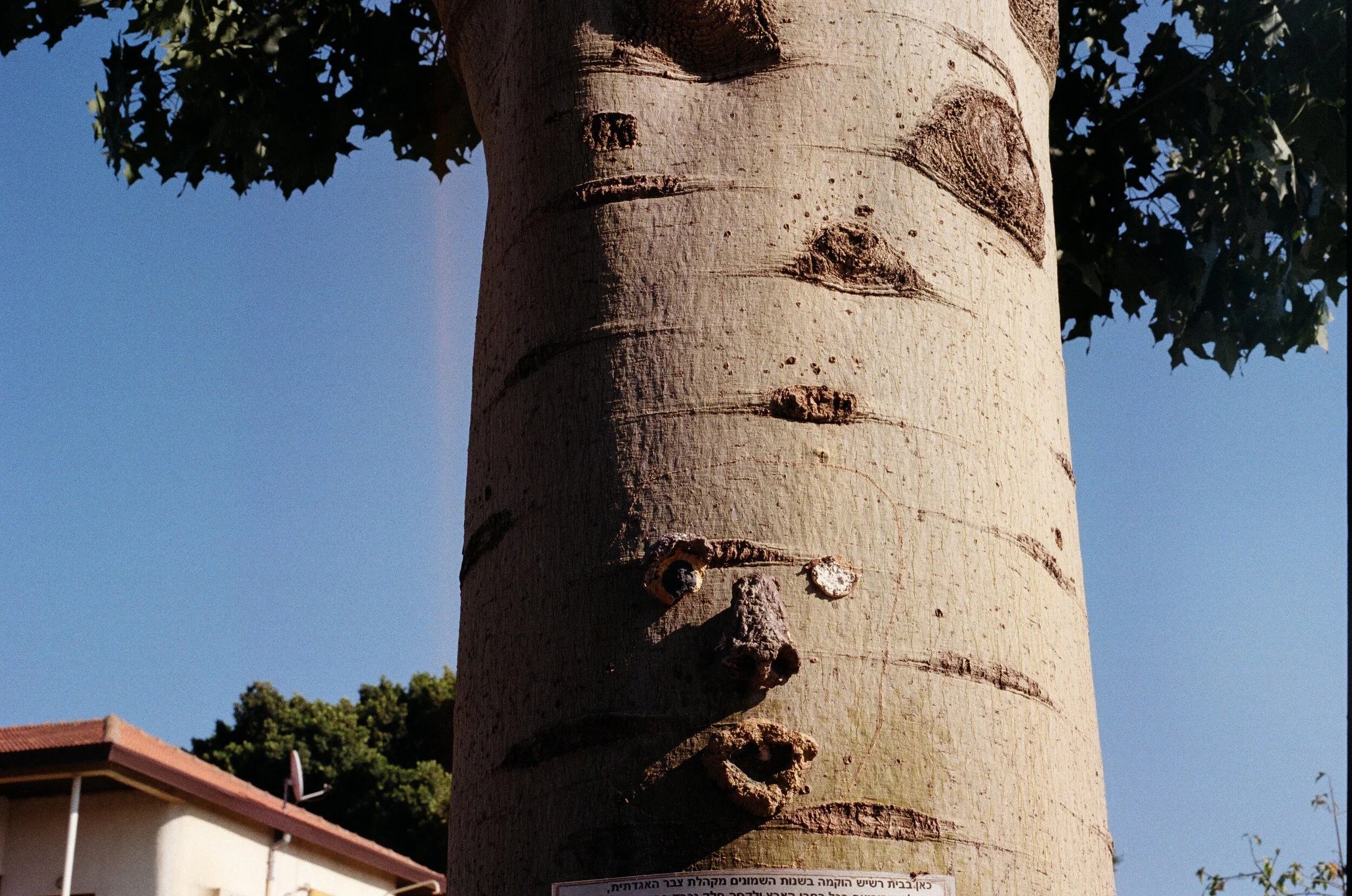 04800014.JPG