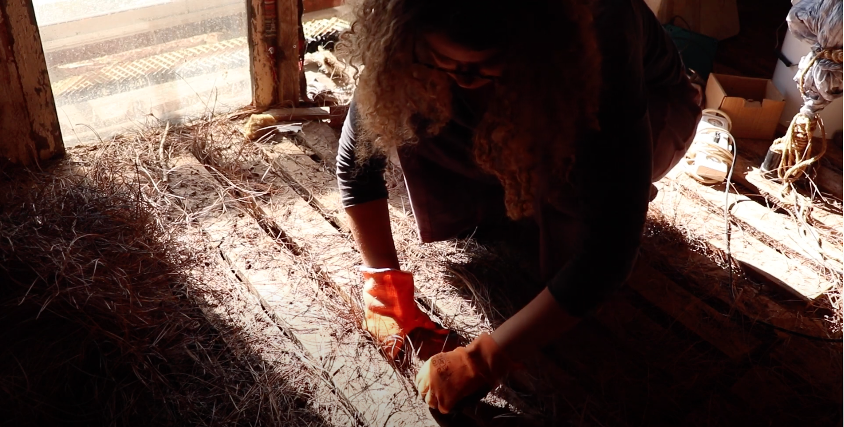 Screen Shot 2021-08-02 at 7.04.45 AM.png