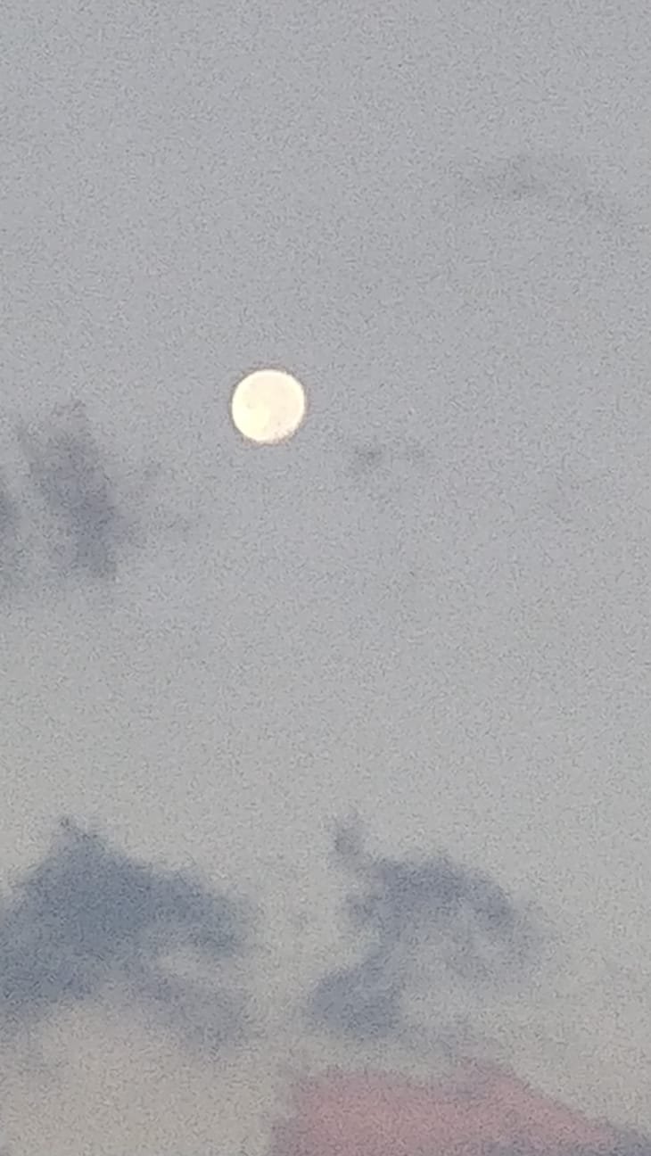 6c4822a5-101e-47bd-a26a-65778f2e99a9 2.JPG