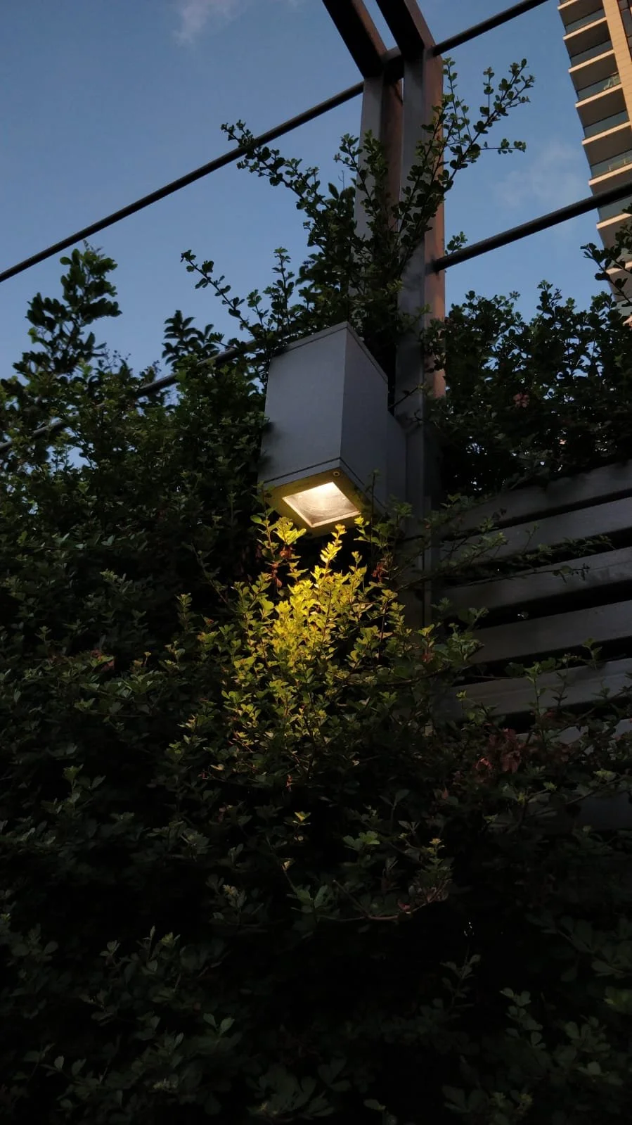 c971e49a-aacb-42b0-8394-03c516d6dbf4 2.JPG