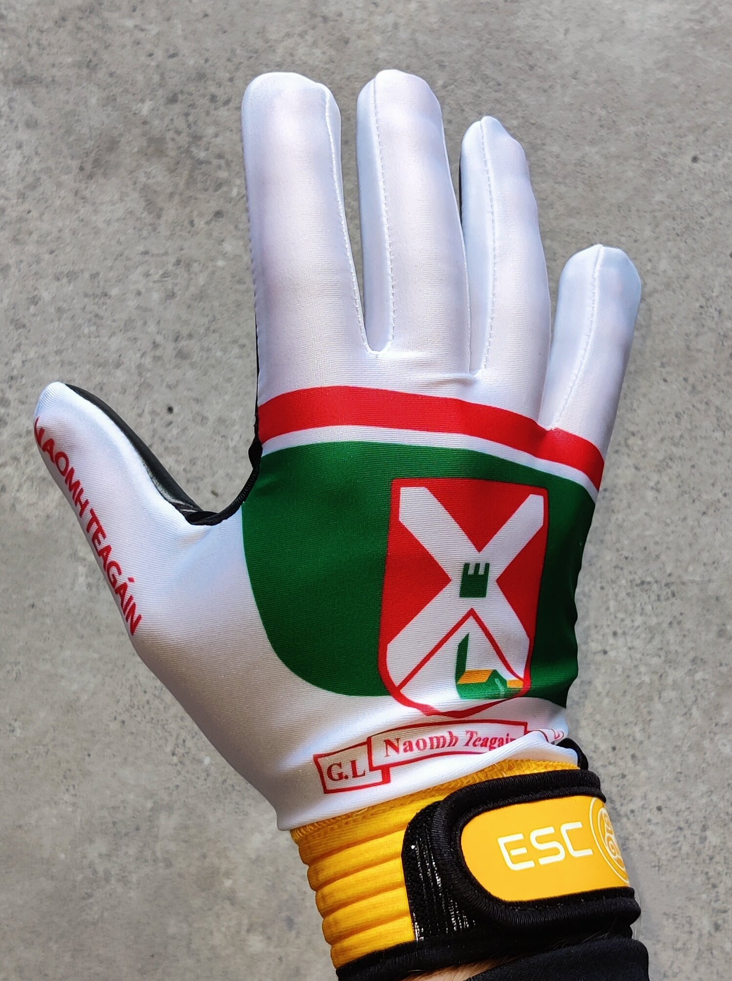 Mexico Batting Gloves and Sleeves combo 