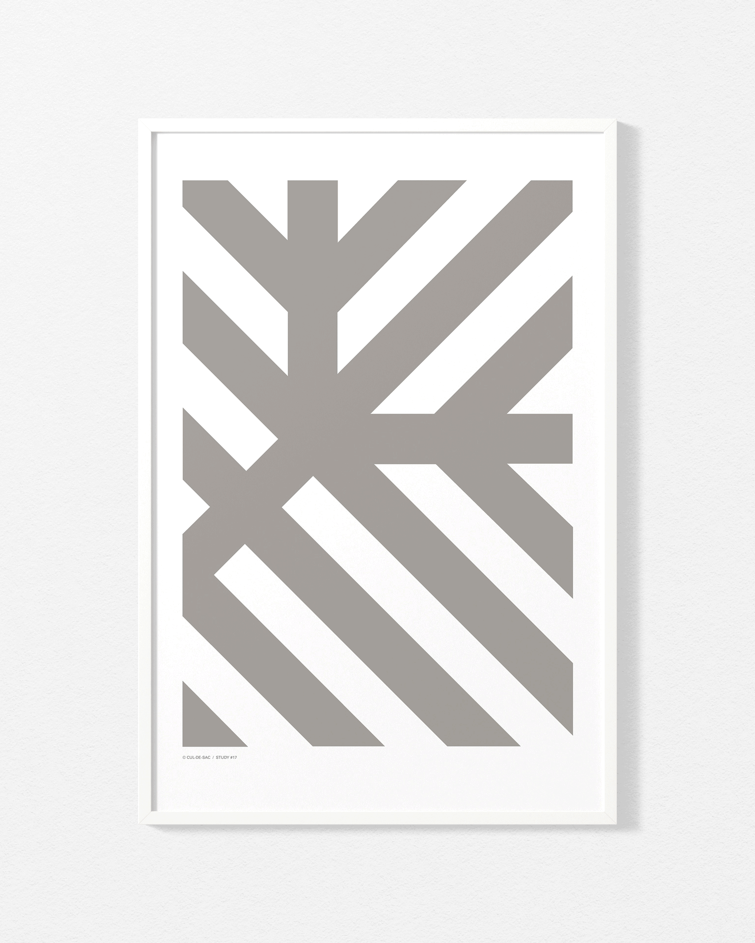 study-17-500-700.gif