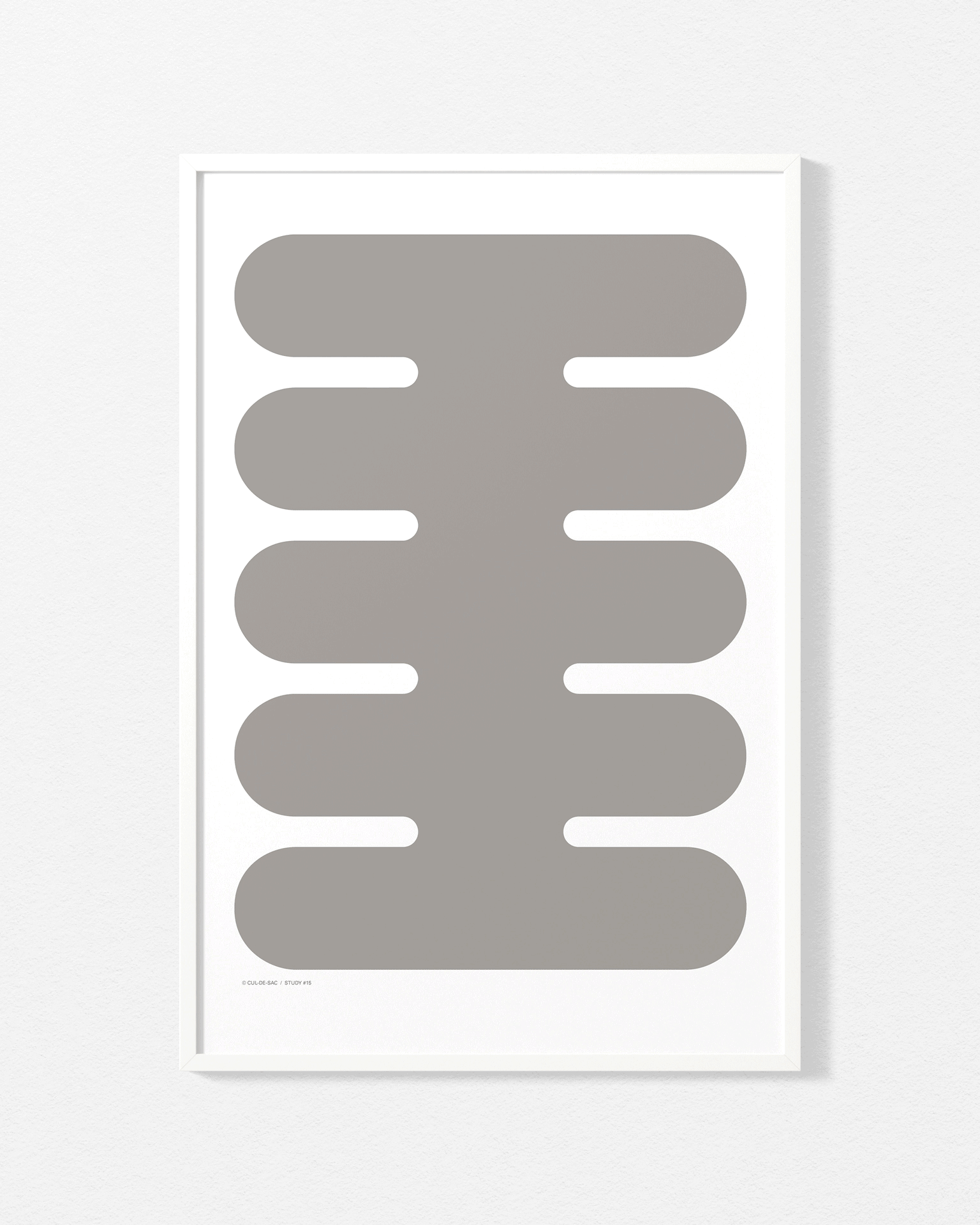 study-15-500-700.gif