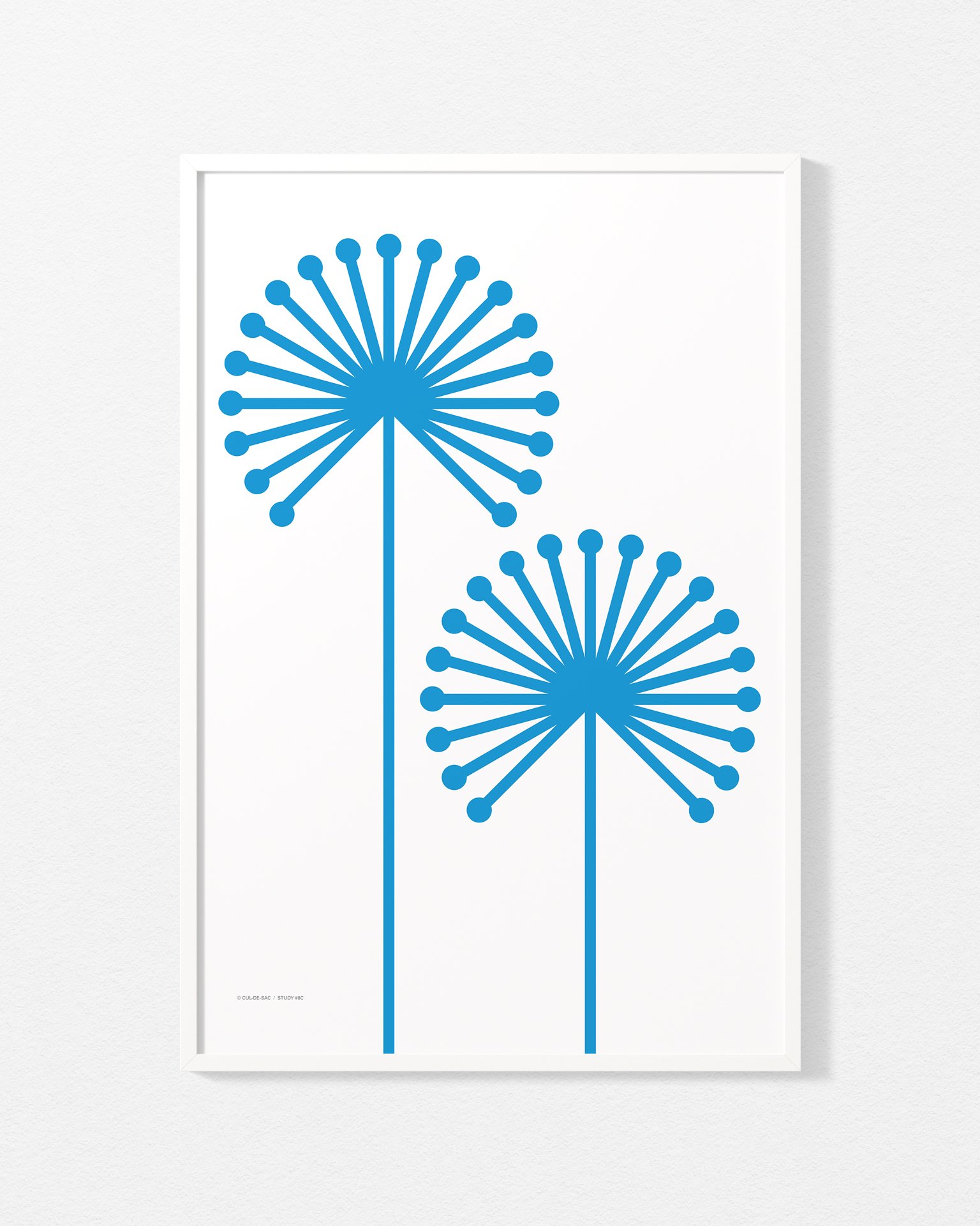 study-8c-500-700-blue.jpg