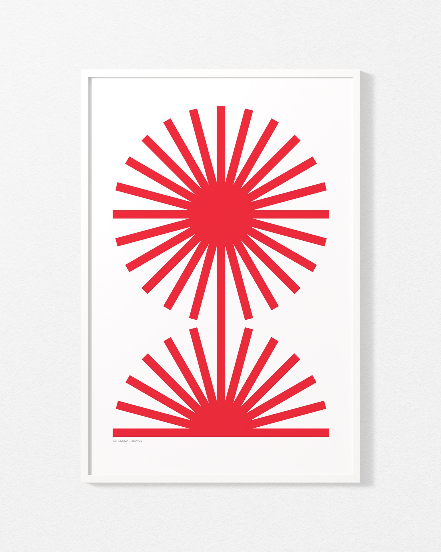 study-5-500-700-red.jpg