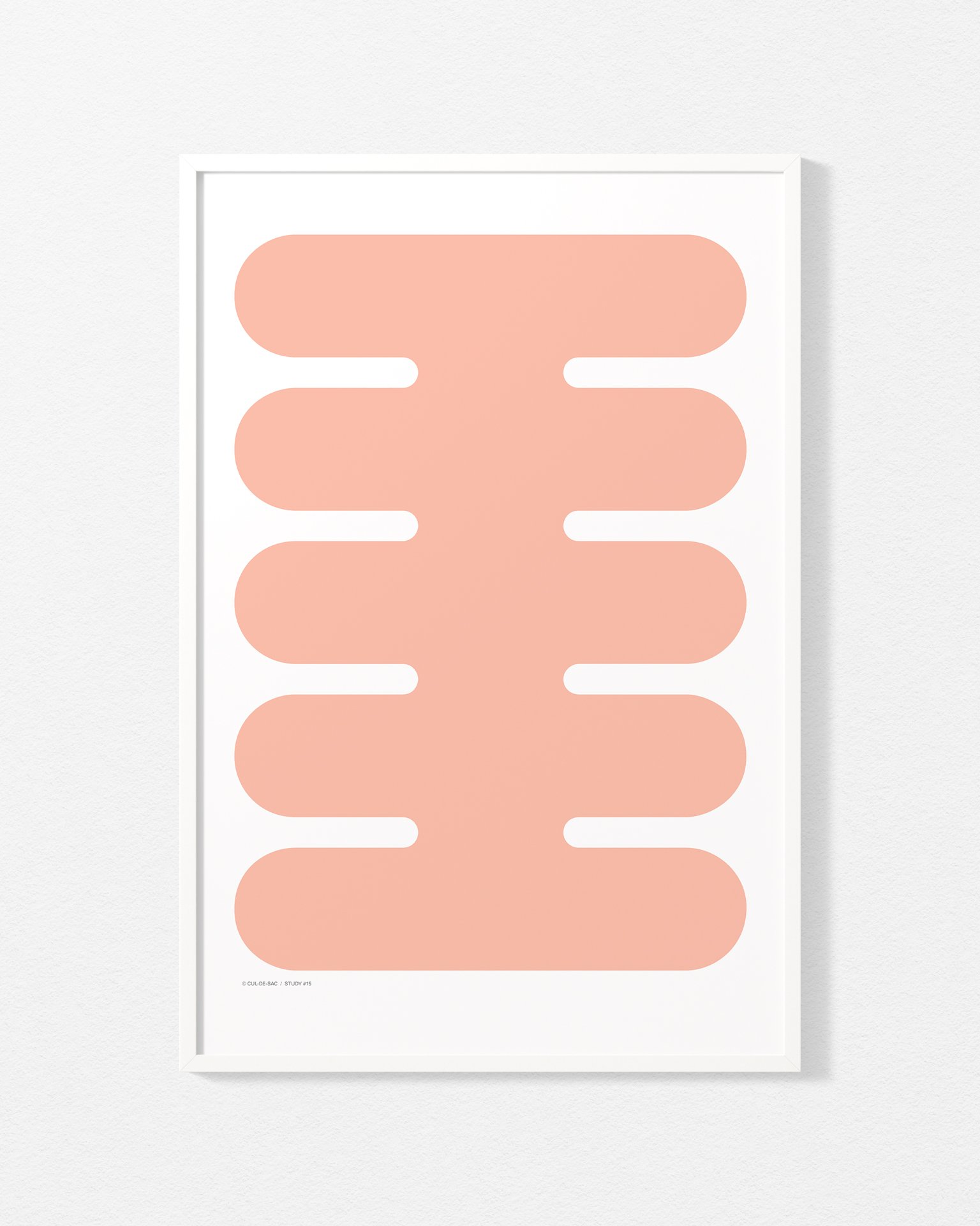 study-15-500-700-pink.jpg