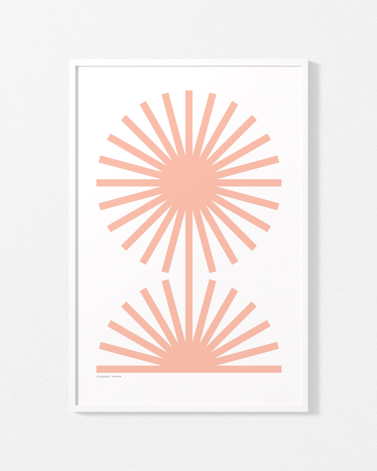study-5-500-700-pink.jpg