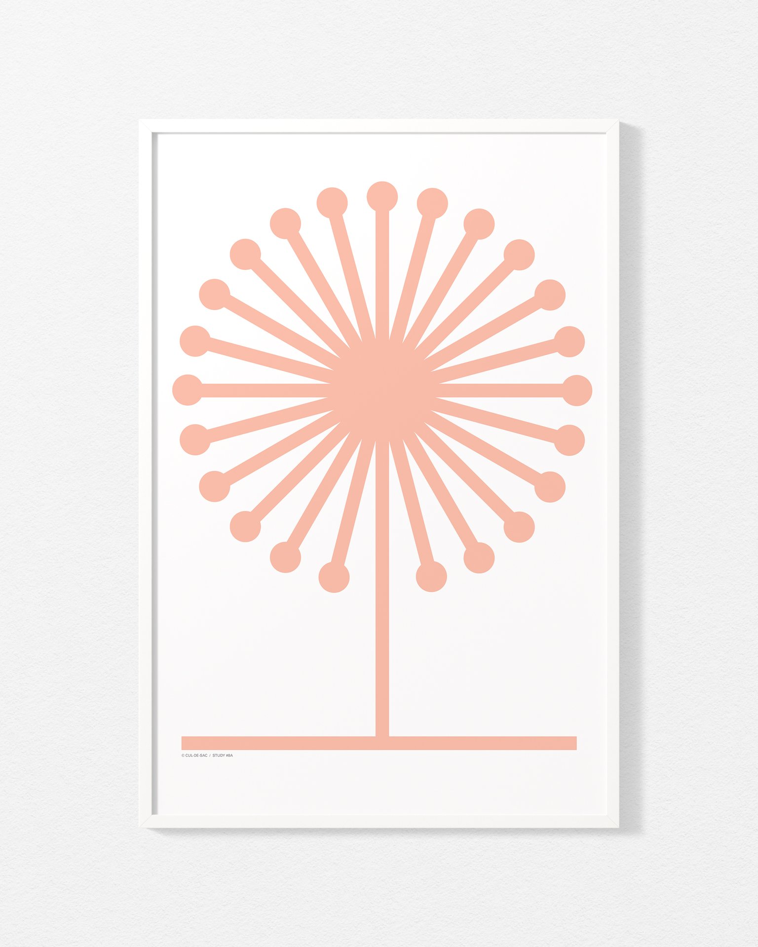 study-8a-500-700-pink.jpg