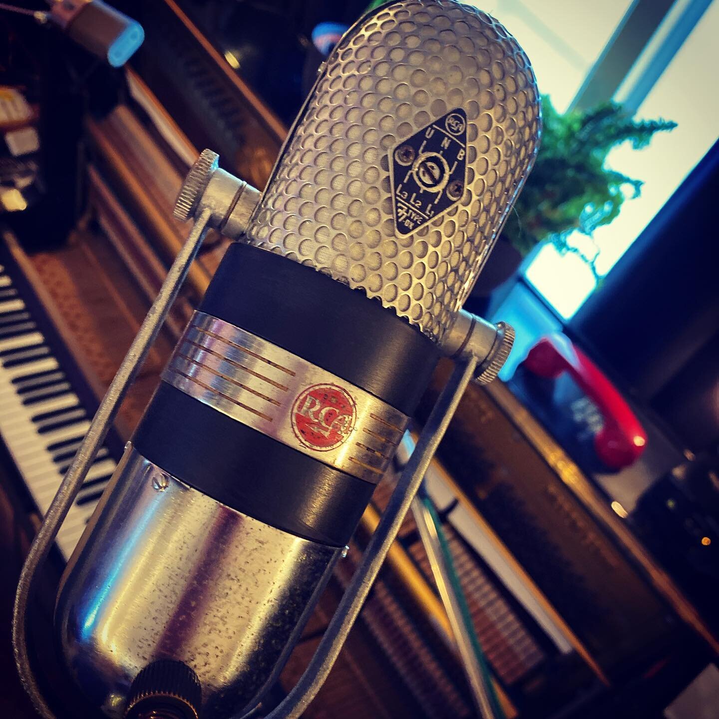 Do you have a favourite ribbon mic? I think I might now...