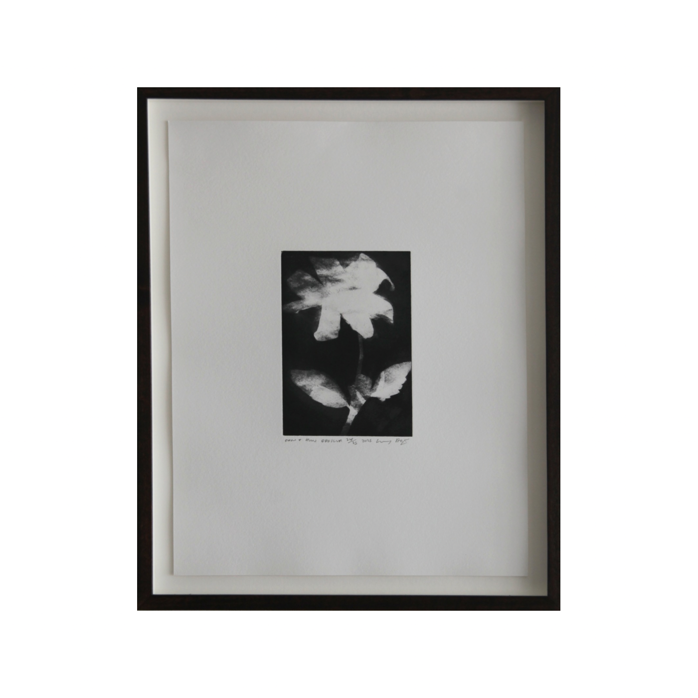 'Dan and Huw Dahlia' by Lucy Augé