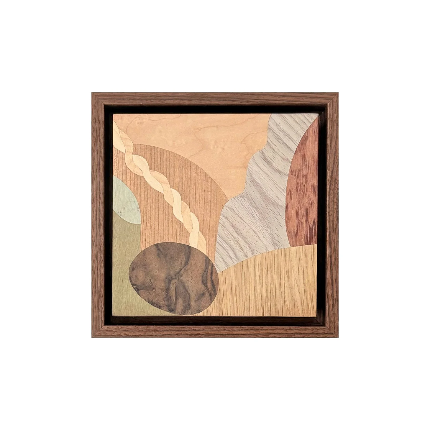 ‘Study for a Still Life‘ by Chelsea Vivash