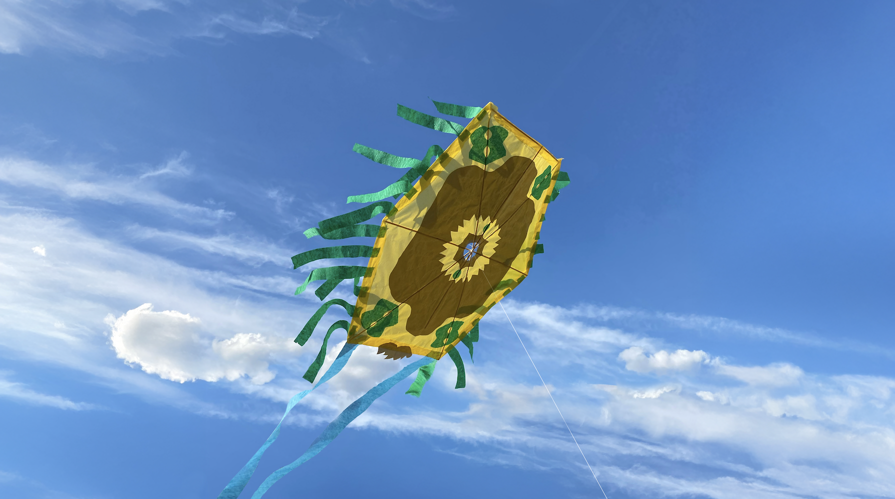 Kite Making with SPF50