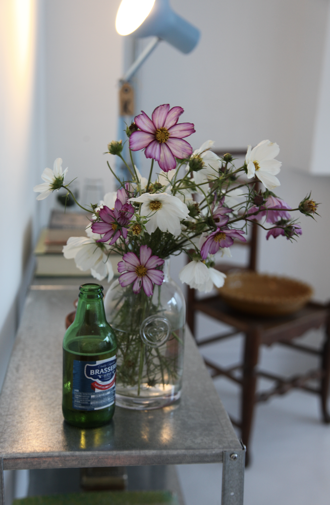 Screenshot 2026-01-27 at 11.53.14.png