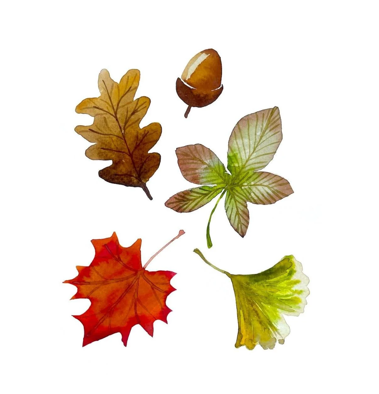 Autumn Trees: Watercolour Workshop