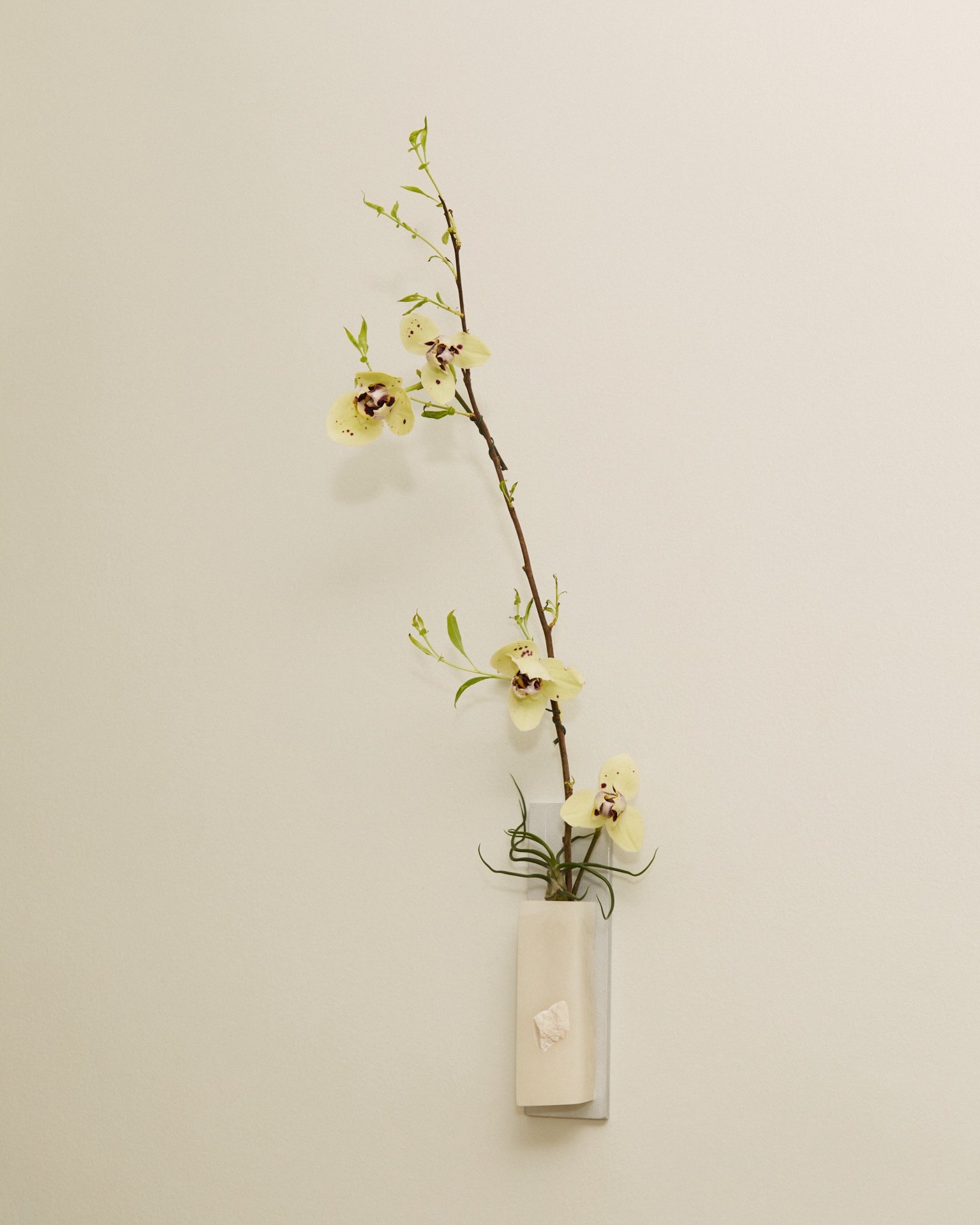 liz_march_2_20241835 (1).jpeg