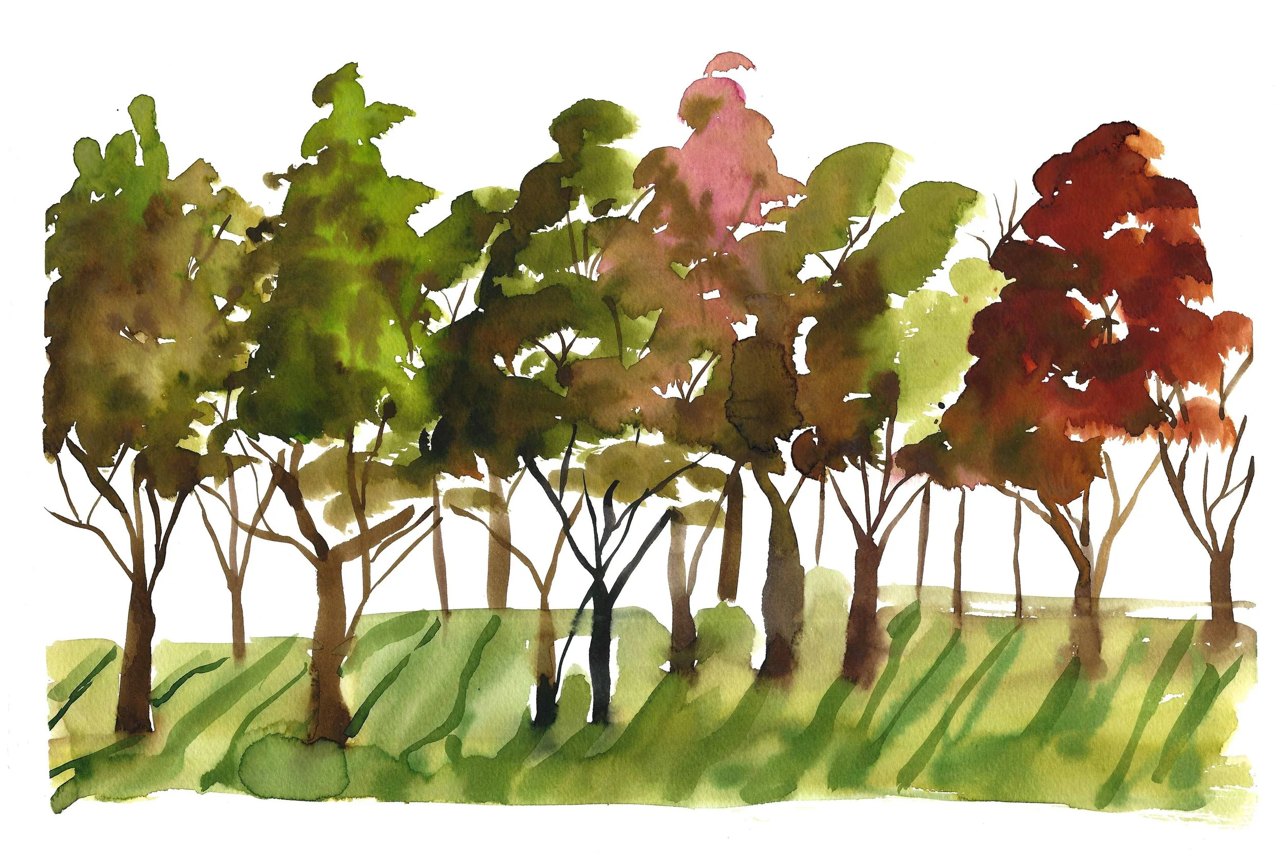 Autumn Trees: Watercolour Workshop