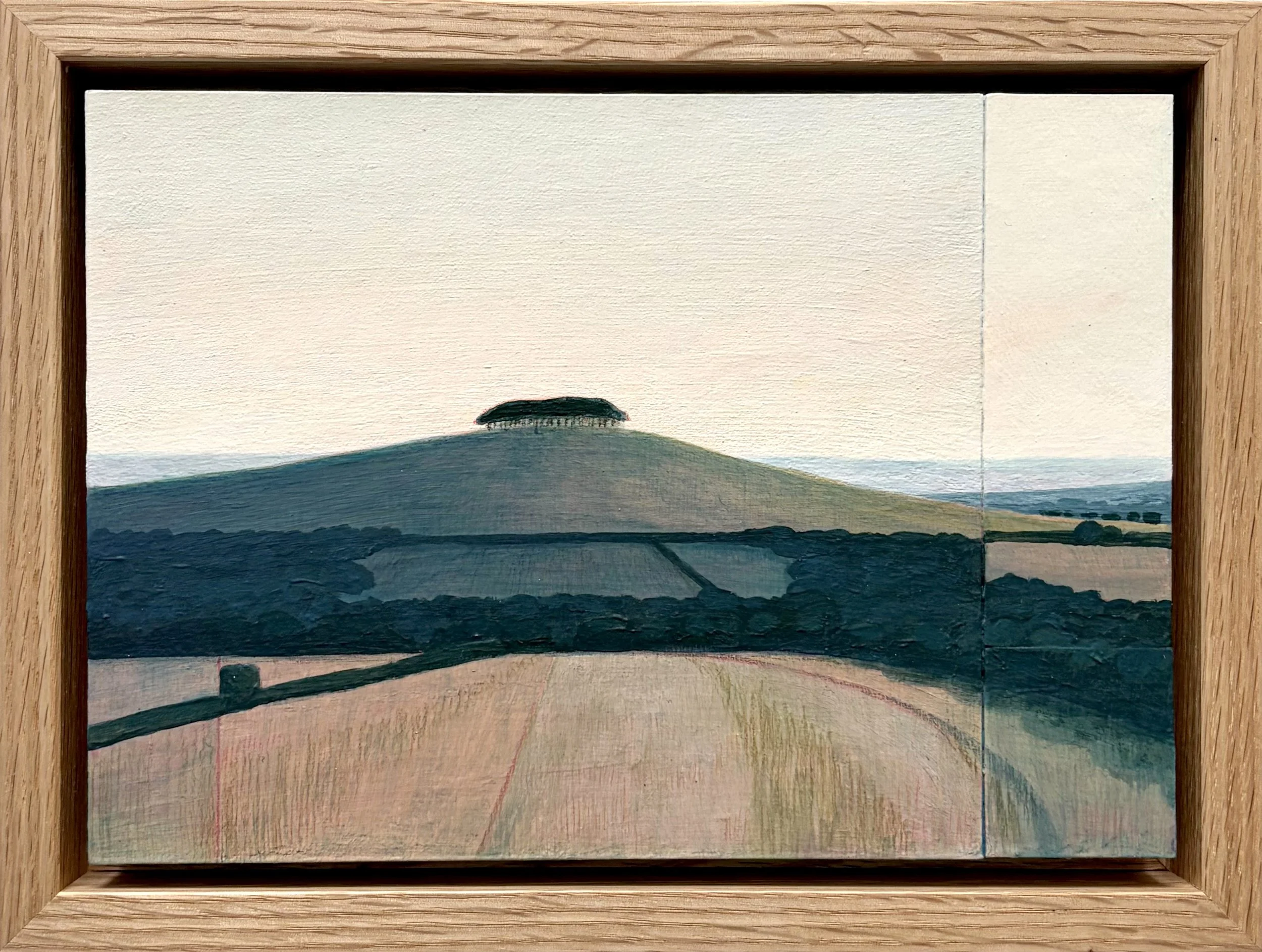 James_D_Wilson_Copse_crop.jpg