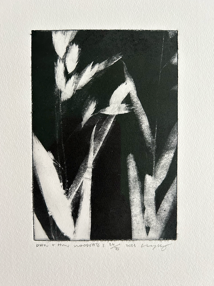 wood oats-detail.png