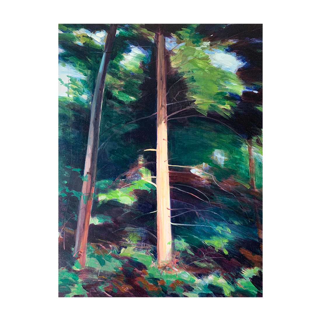 'Forest Walk' by Camilla Gray