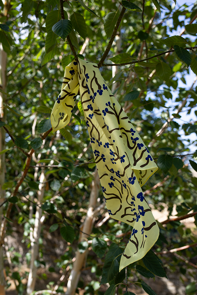 IMG_7932.png