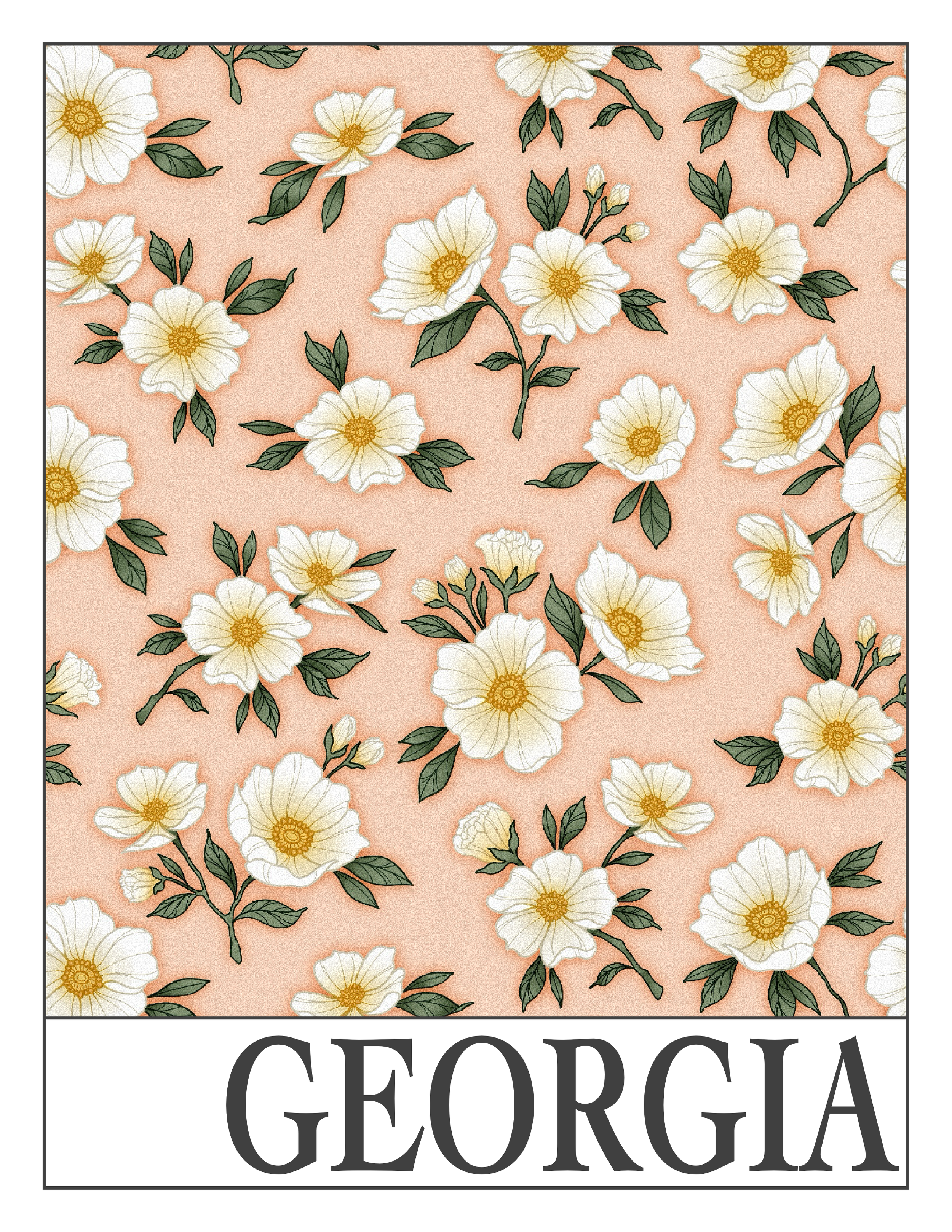 Georgia_CherokeeRose_Graphic.png