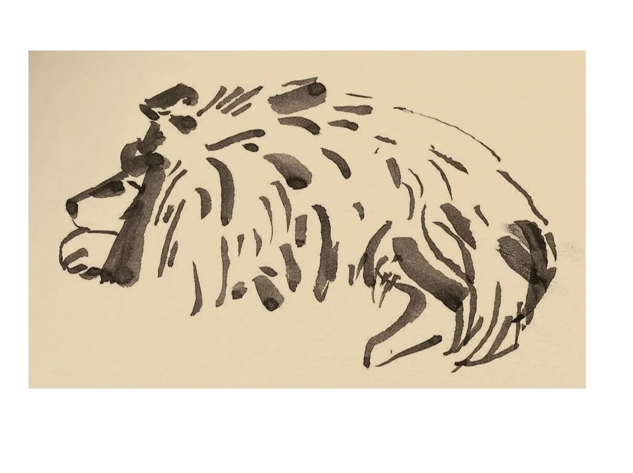 When the Mind Won’t Switch Off: Homeopathy for Anxiety &amp; Overthinking 