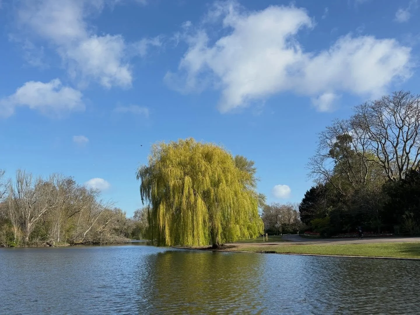 A few moments from Regent&rsquo;s Park this weekend. ✏️

There&rsquo;s something about being out here that lets things settle a little &mdash; and when that happens, what&rsquo;s really going on often becomes clearer. 

Something I notice a lot in pr