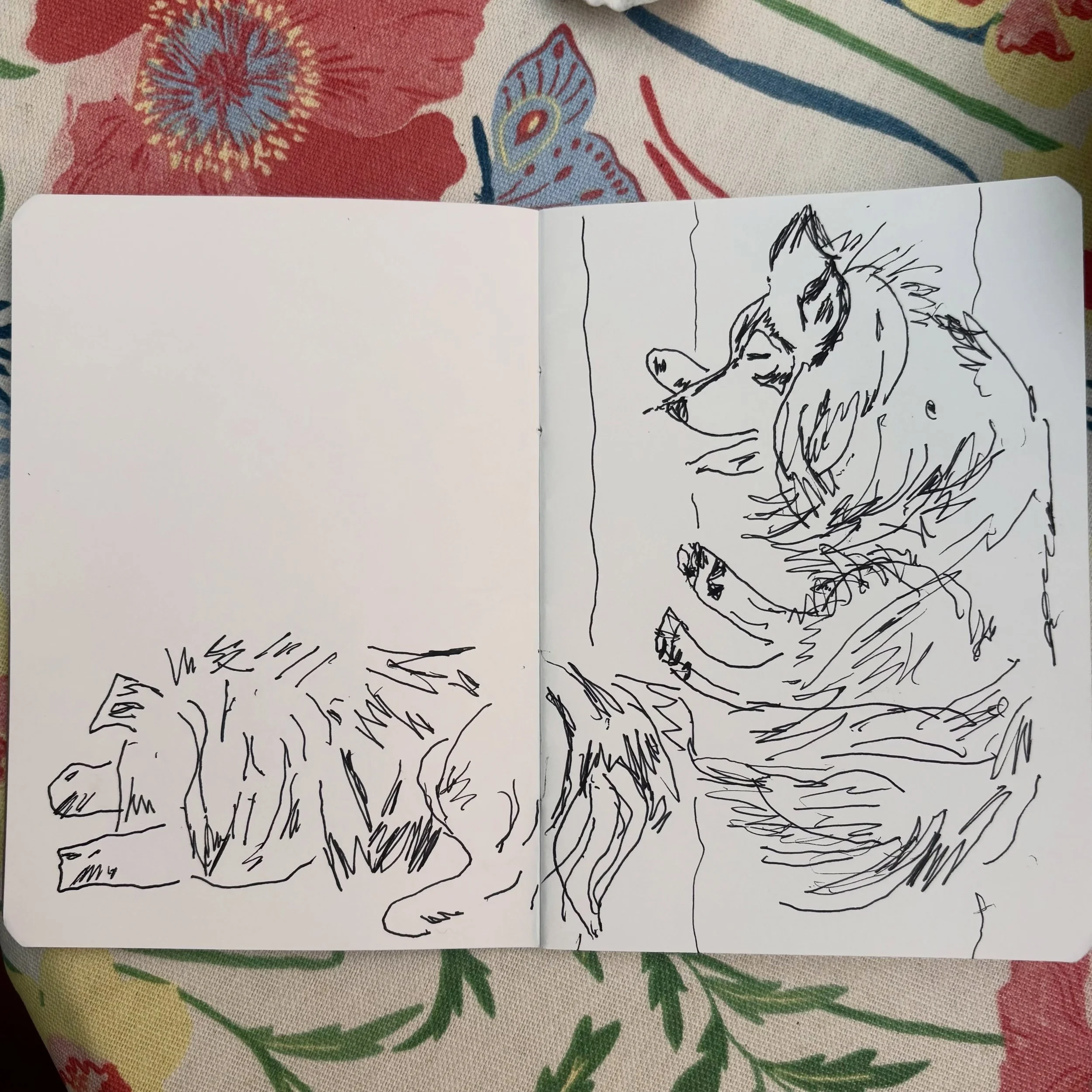 Franki and Jet snoozing 
.
#walktosee #goodshipillo #walktoseetinysketchbook #sleepingdogs #shelties