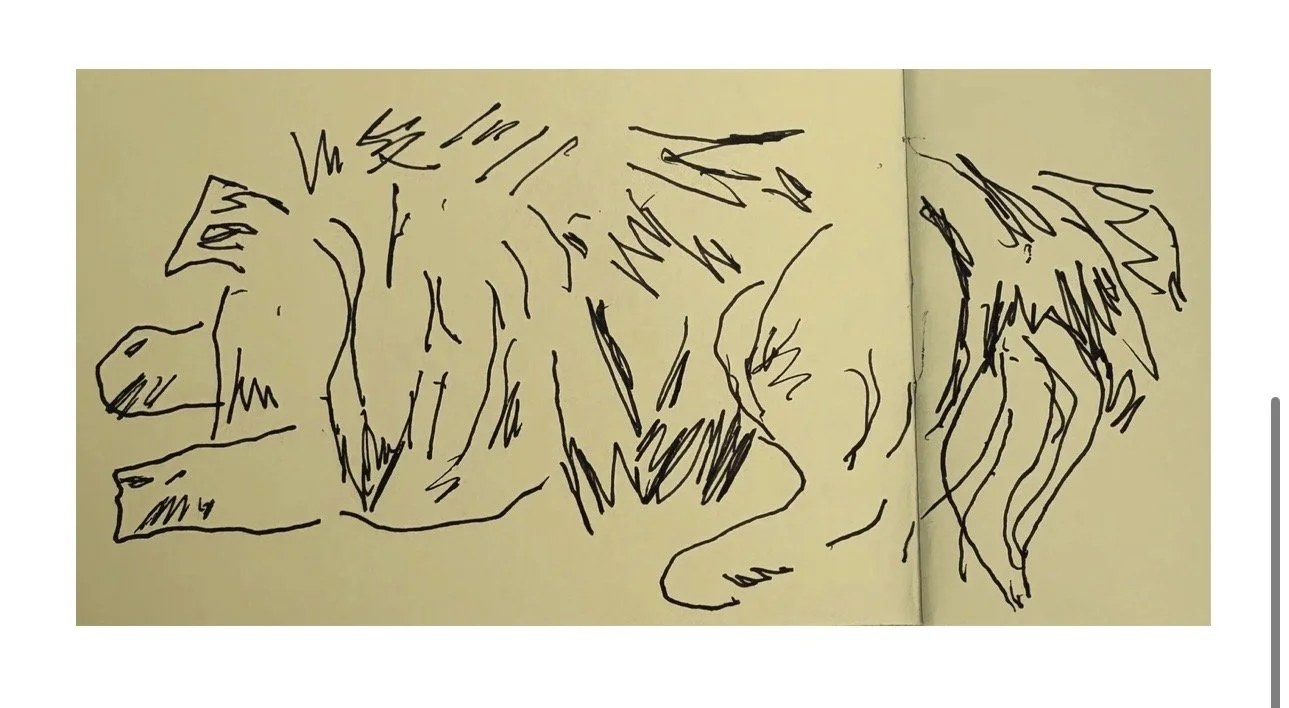 Sketch of a dog standing in long grass during summer.